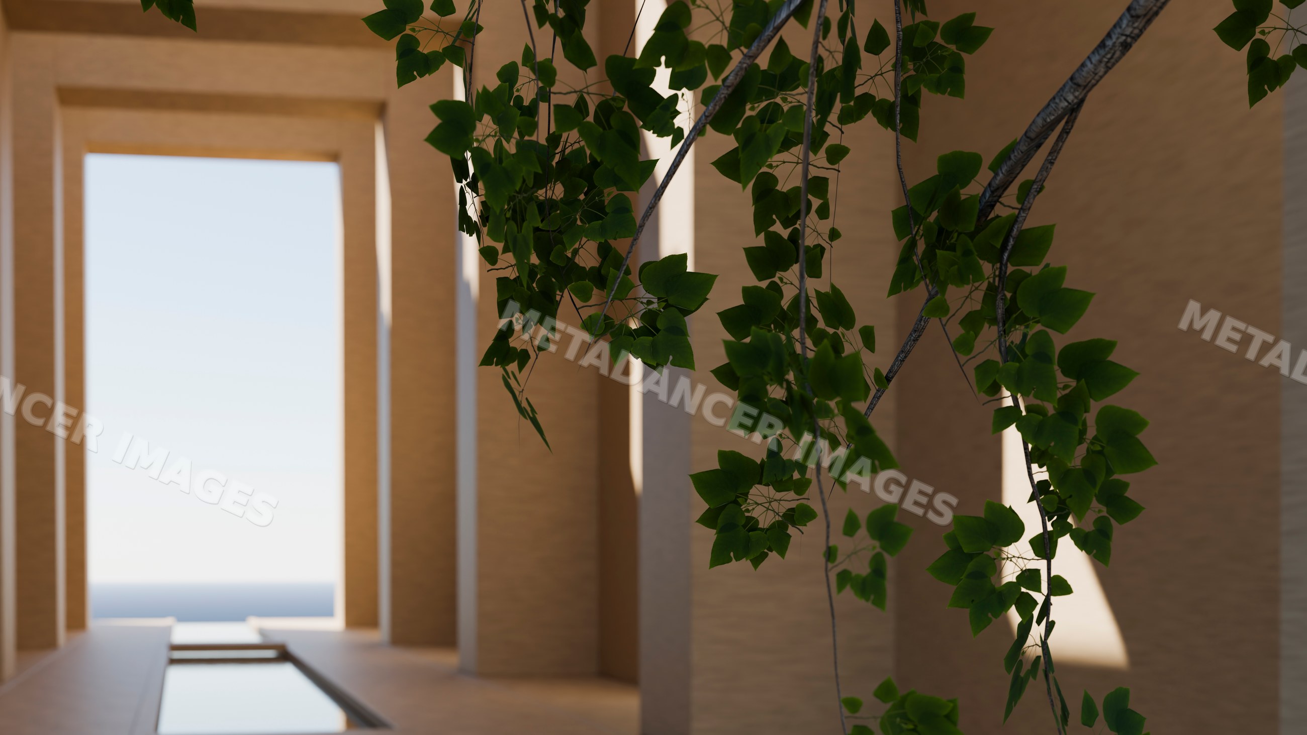 Green leaves hanging near modern arched doorway with water feature