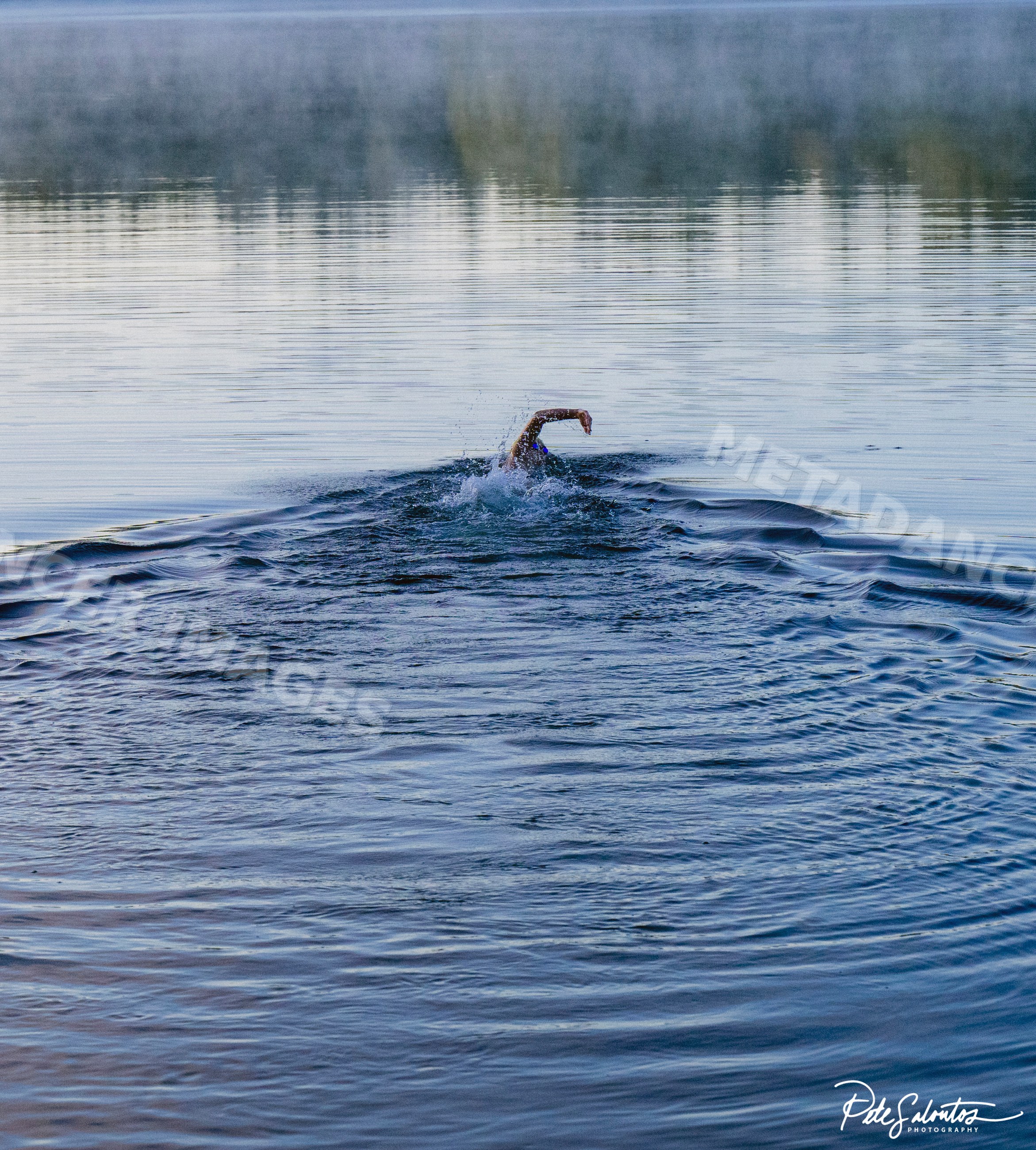 White swimmer performing front crawl stroke