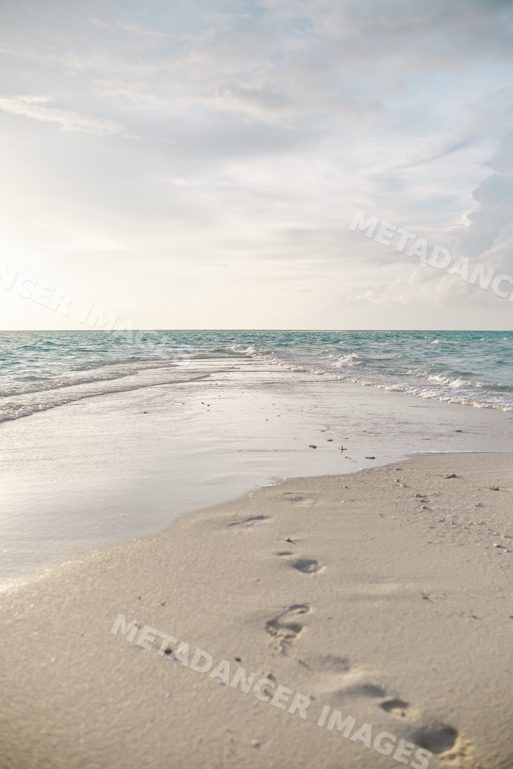 Footprints on a sandy beach along the calm ocean shore in a beach