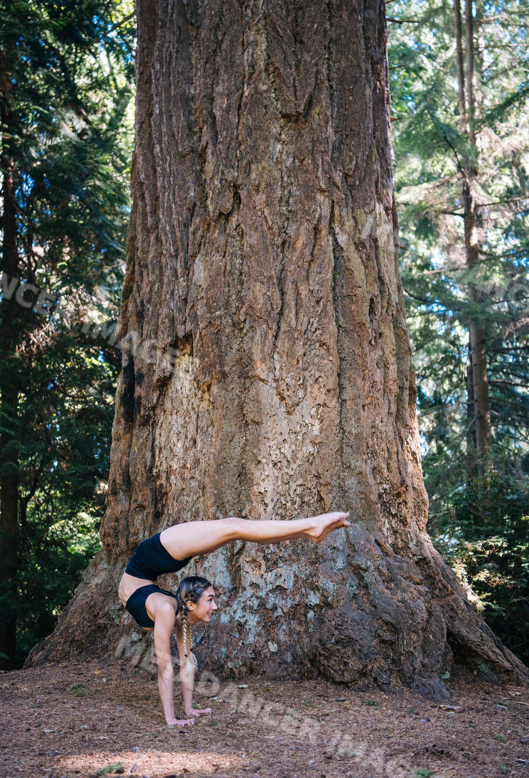 Contortionist doing backbend yoga pose in forest near large tree