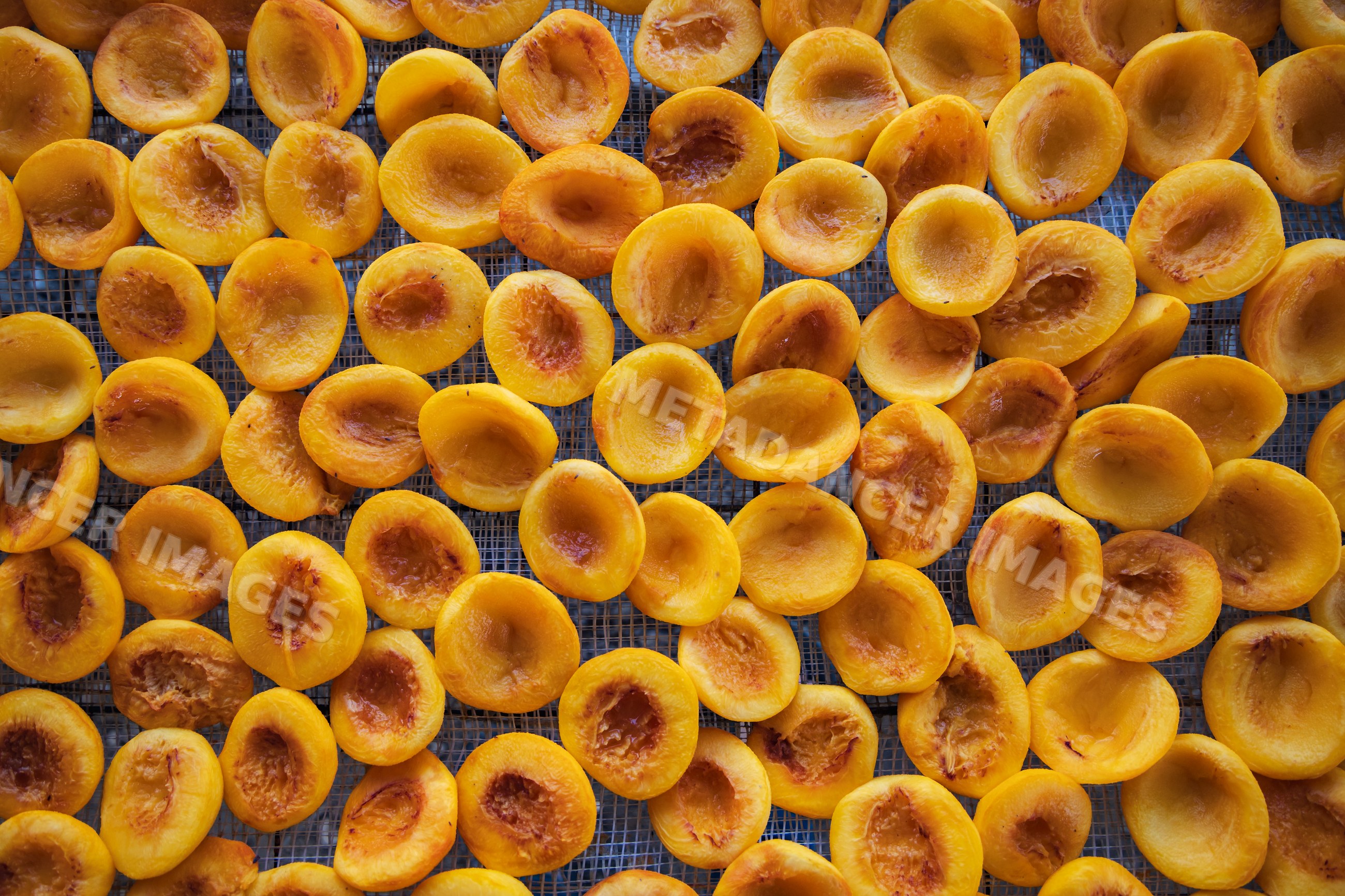 Halved Peaches drying on a food drying rack in arevshat, Armenia