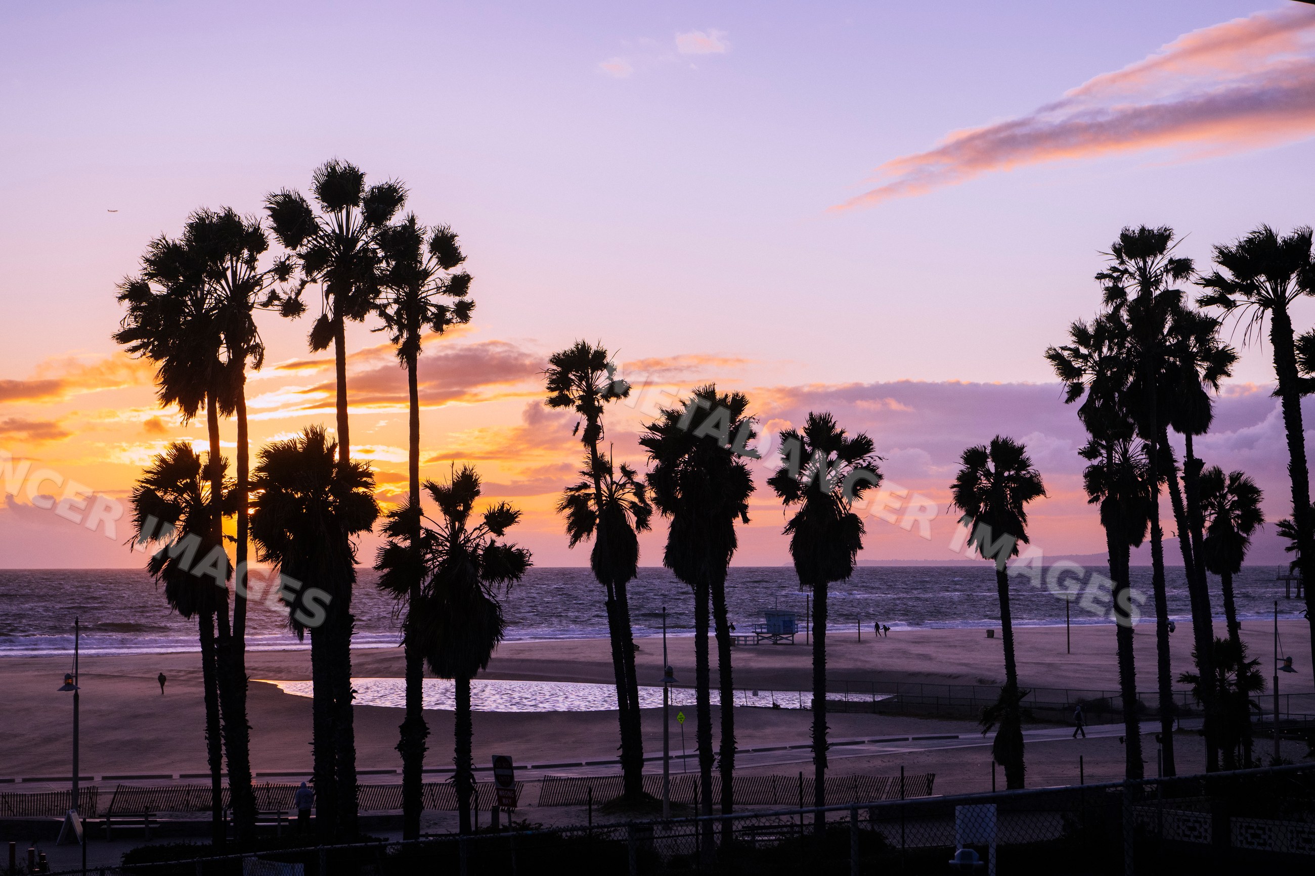 Sunset over ocean with palm trees in a beach