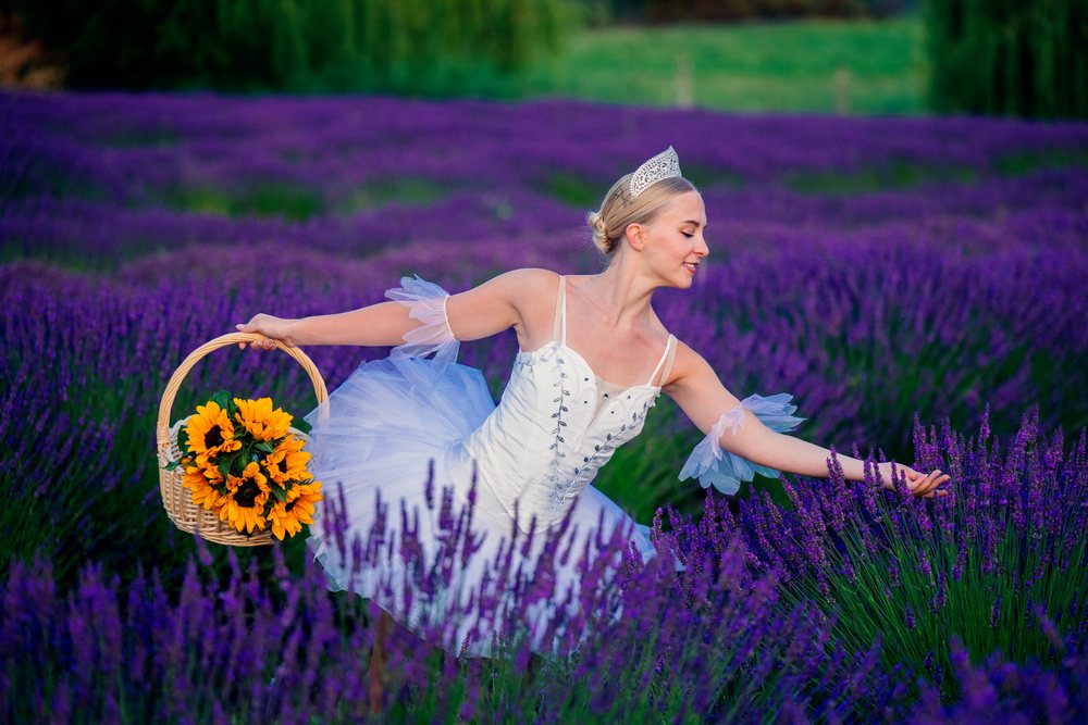 Ballerina dances with sunflowers in a lavender field in wa USA