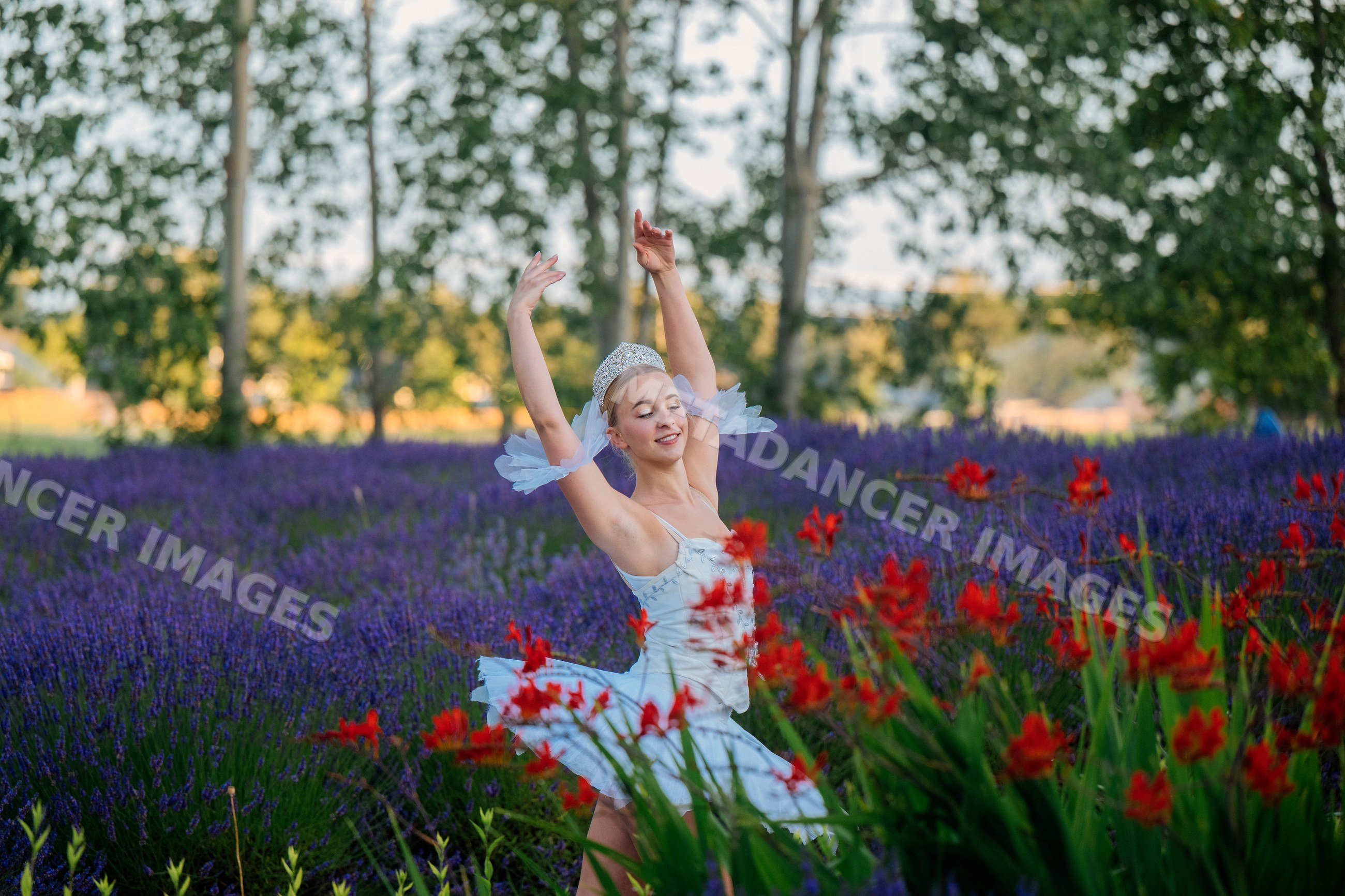 A ballerina dances gracefully in a colorful flower field in WA, USA