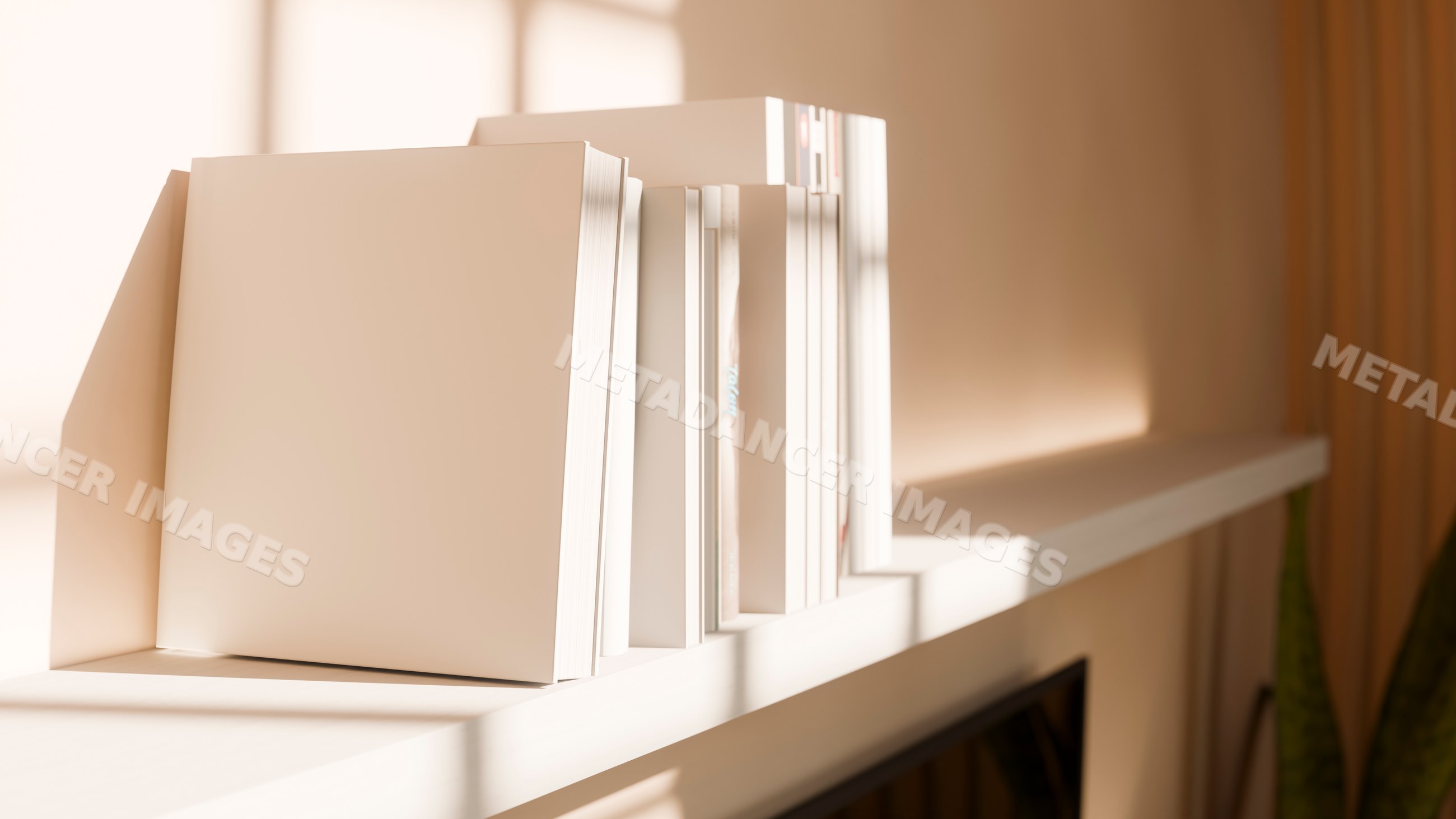 Books neatly arranged on white shelf with sunlight in modern interior