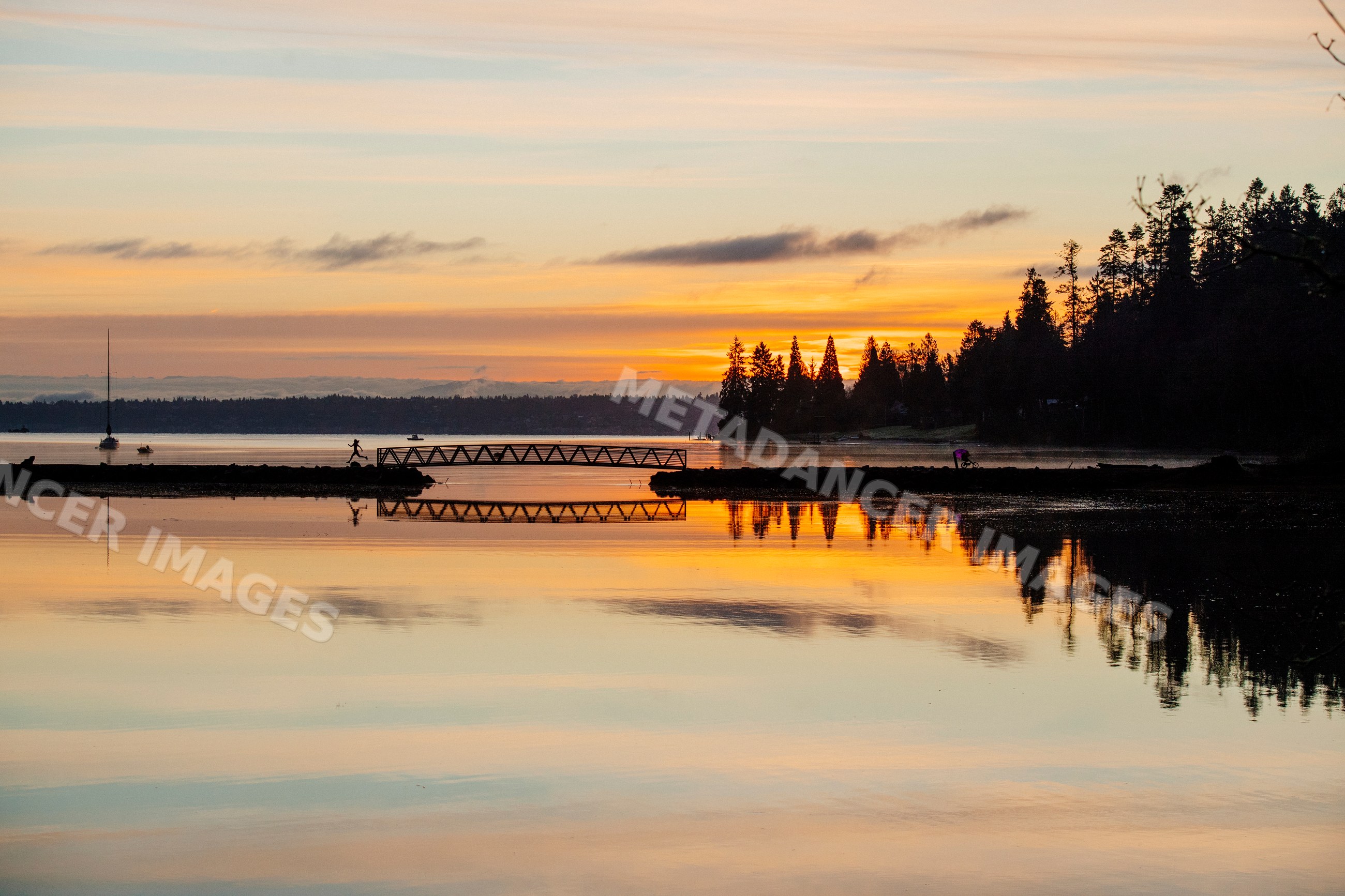 Sunset over water and pier with tree silhouettes
