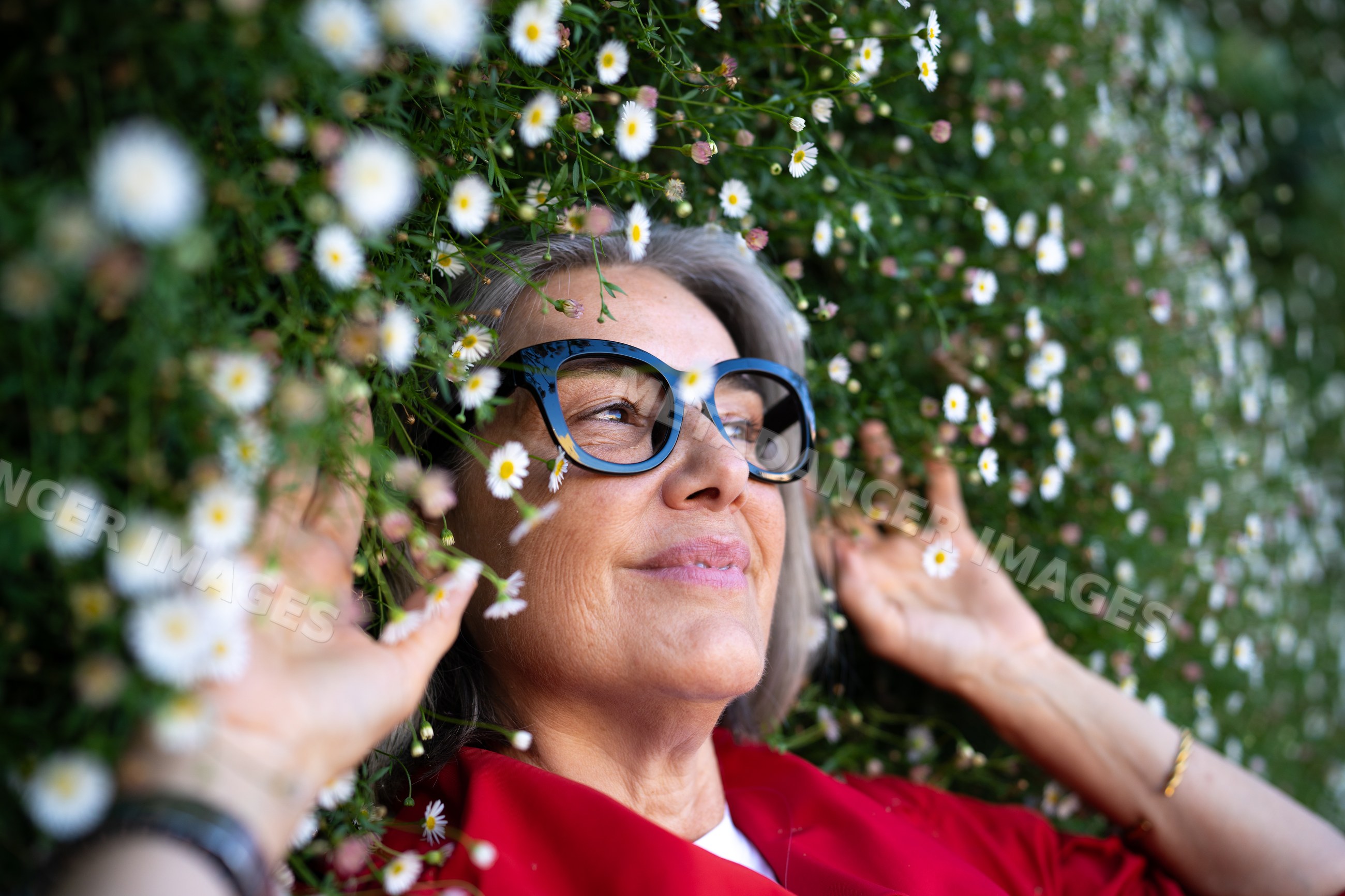 White woman with glasses lying among daisies outdoors