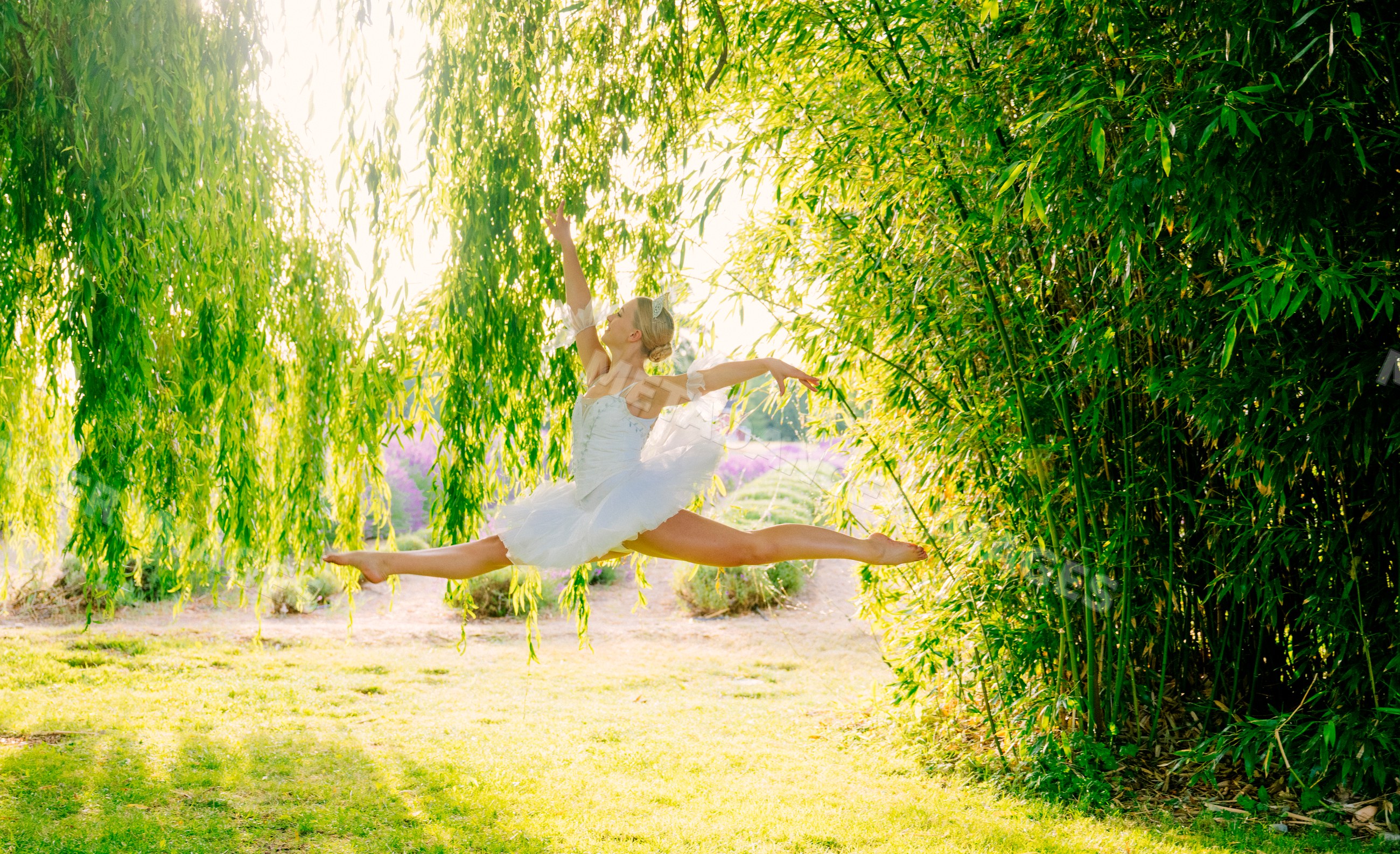 Ballet white dancer leaps in a sunlit park under willow trees