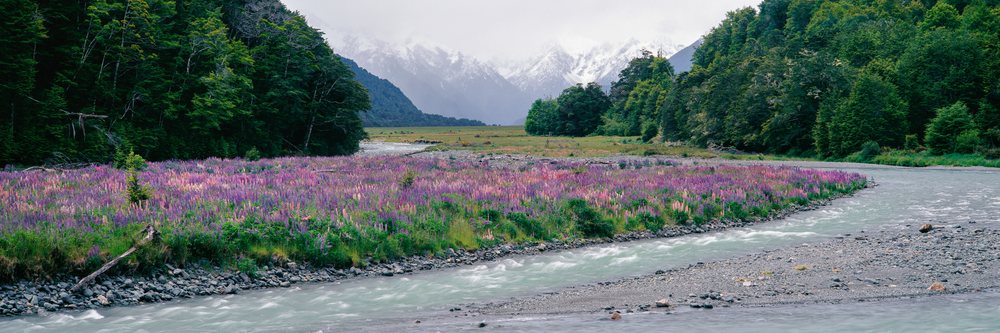 River flowing through meadow with wildflowers and misty mountains
