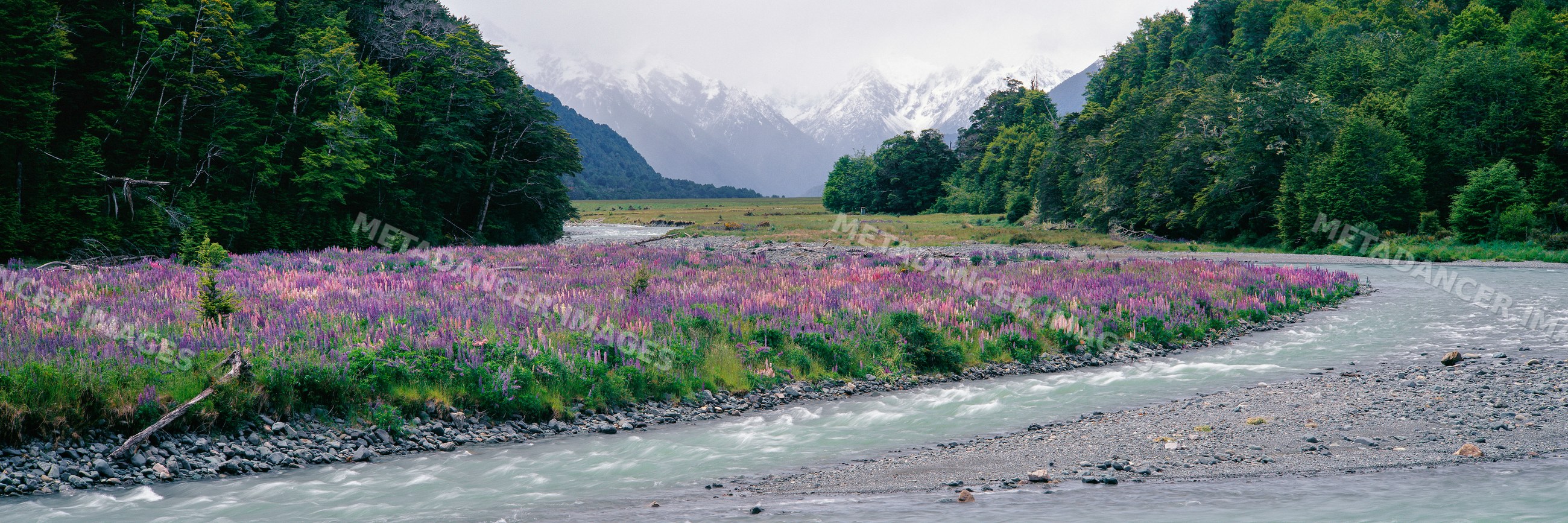 River flowing through meadow with wildflowers and misty mountains