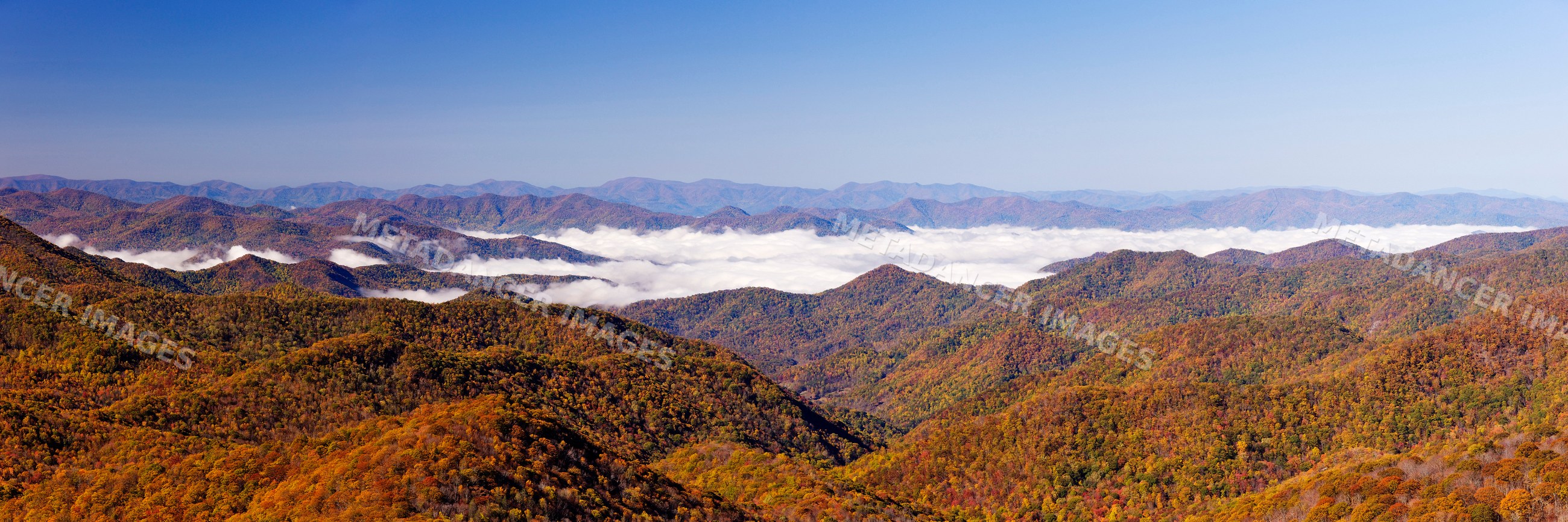 Mountain ridges with fall foliage in blue ridge parkway