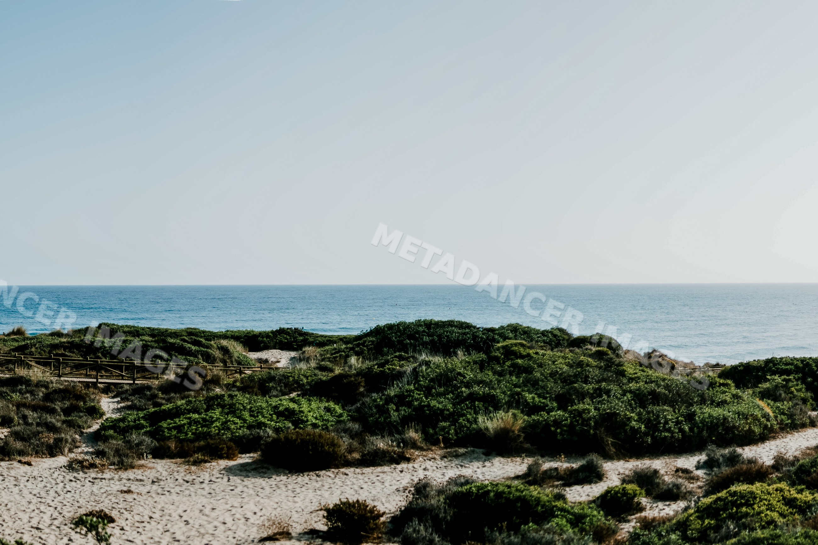 Coastline with sandy beach and green shrubs by calm ocean in a beach