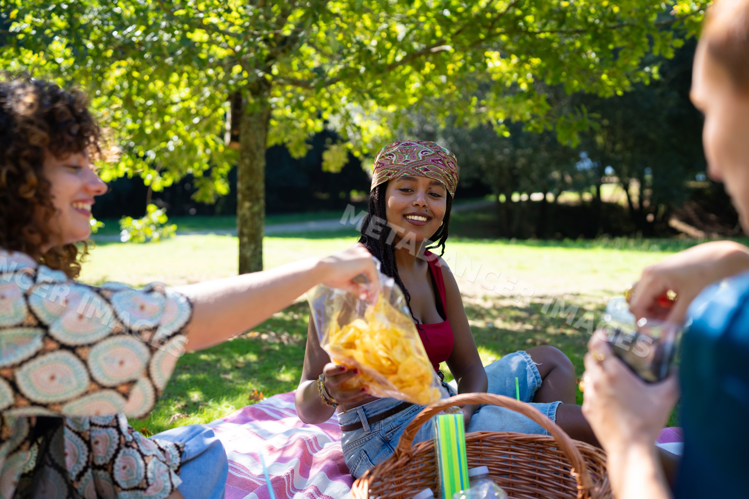 Friends enjoying a sunny picnic with chips and drinks in a park