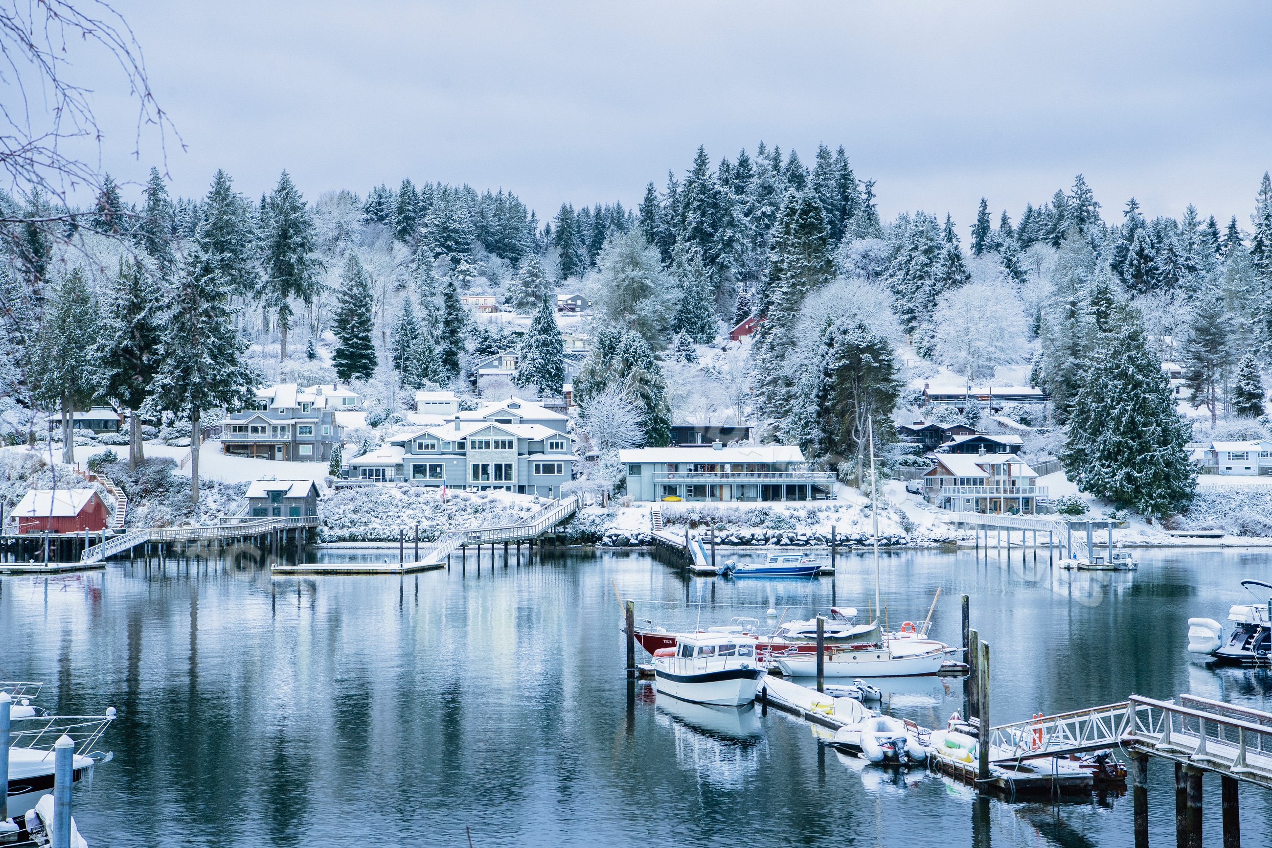Boats docked in snowy marina with winter houses and trees in wa USA