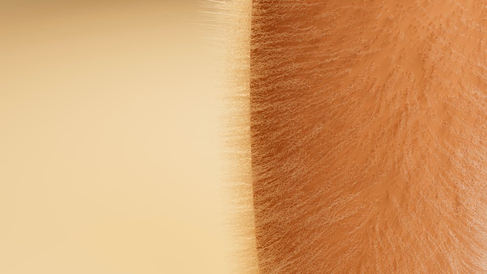 Macro close-up of human skin texture with fine hair and pores