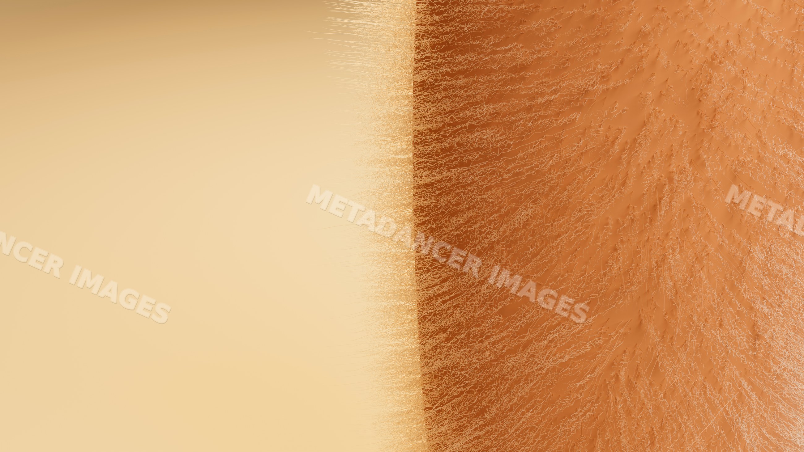 Macro close-up of human skin texture with fine hair and pores