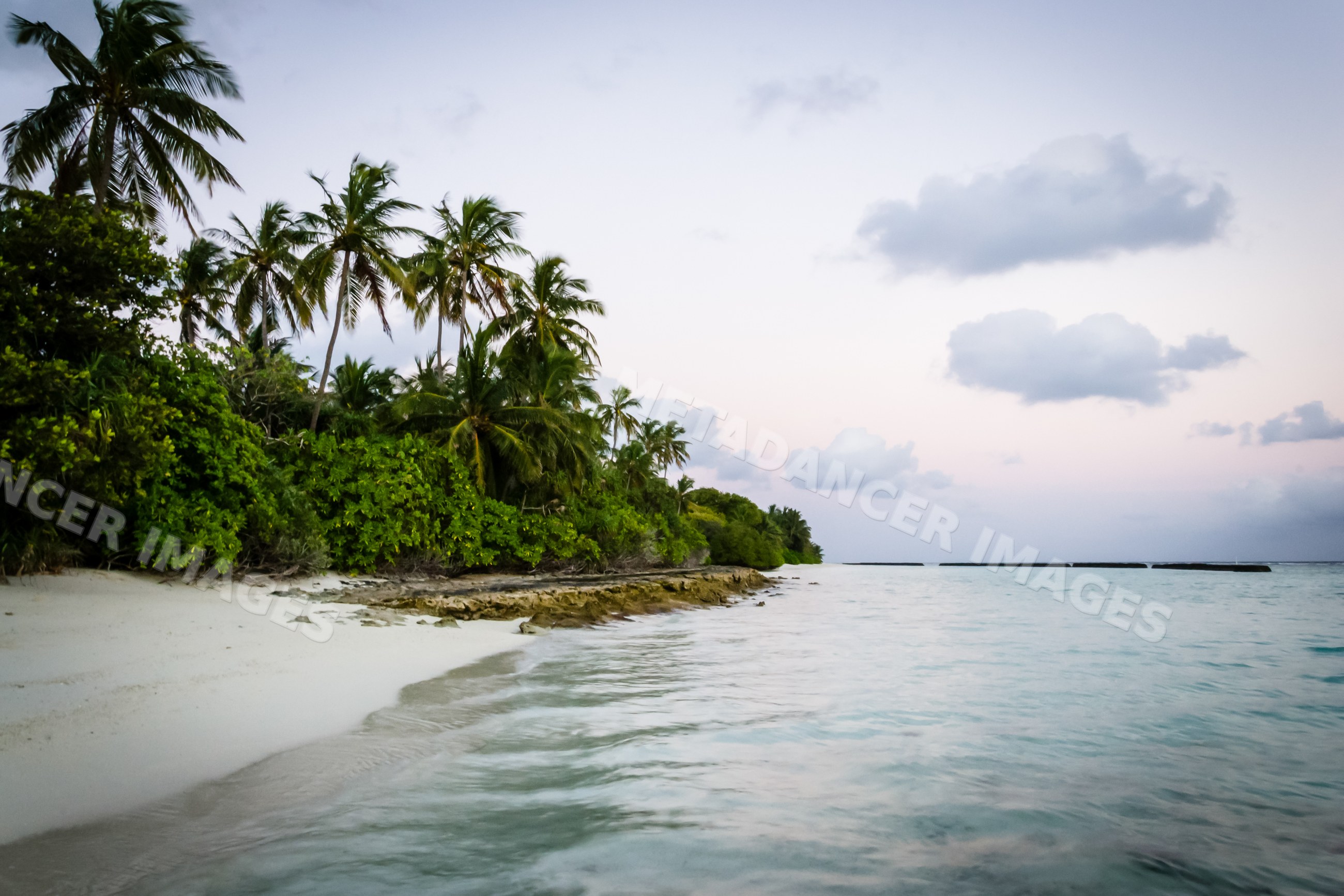 Tropical beach with coconut palms and white sand in a beach