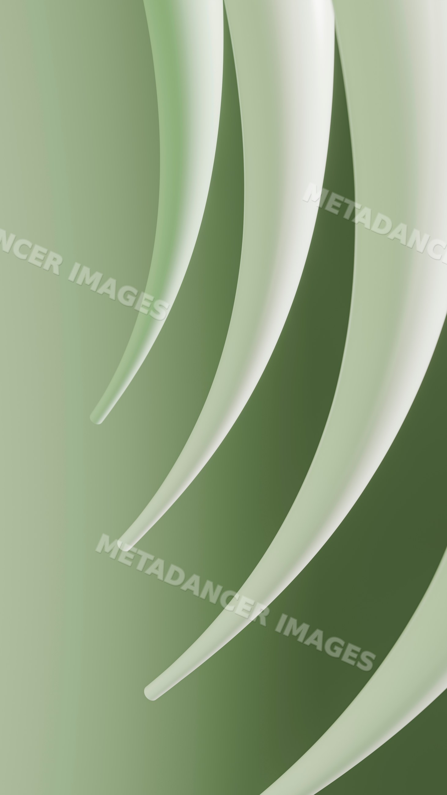 Green abstract curved shapes with smooth flowing gradients