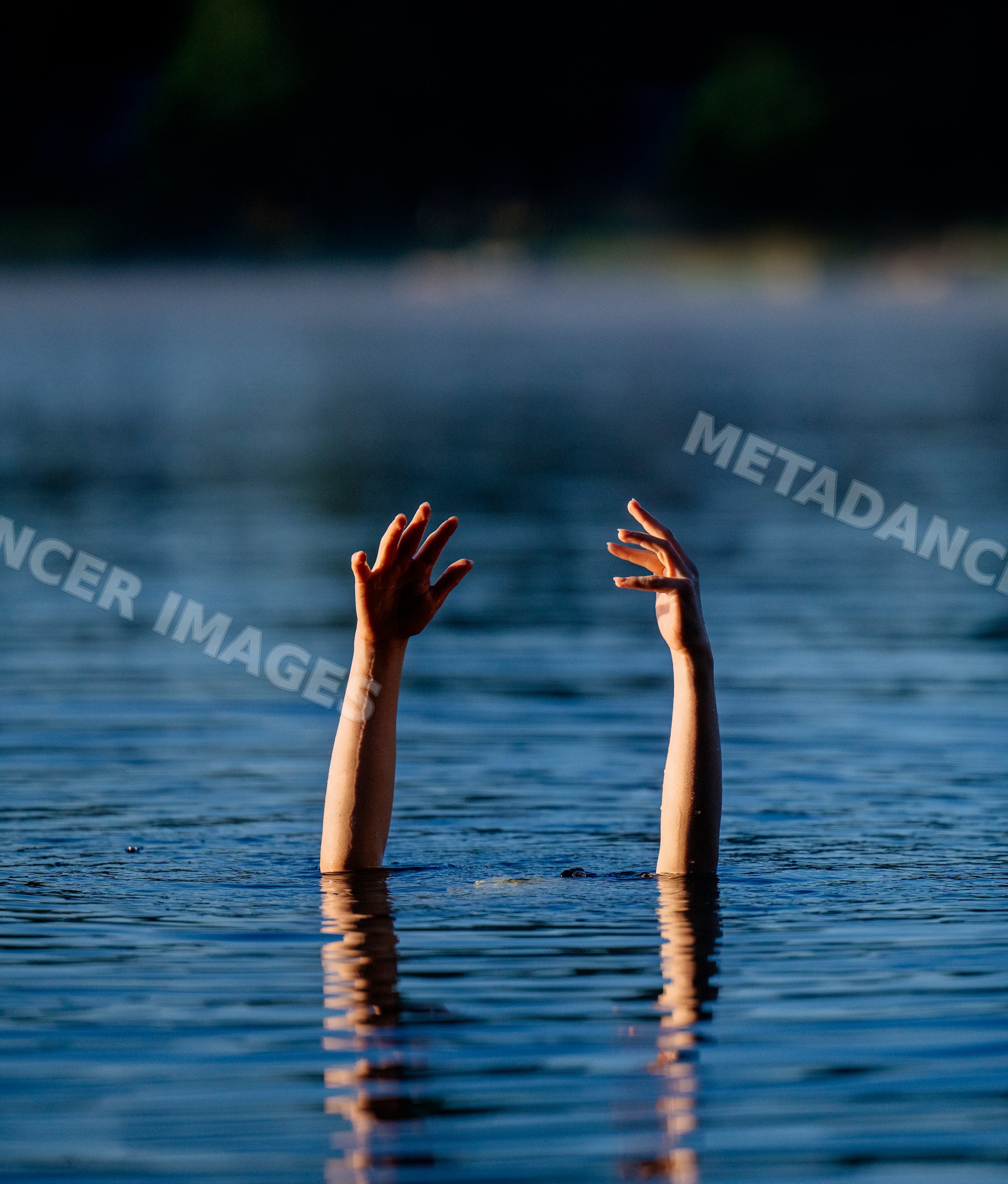 Two arms and hands reaching above calm lake water