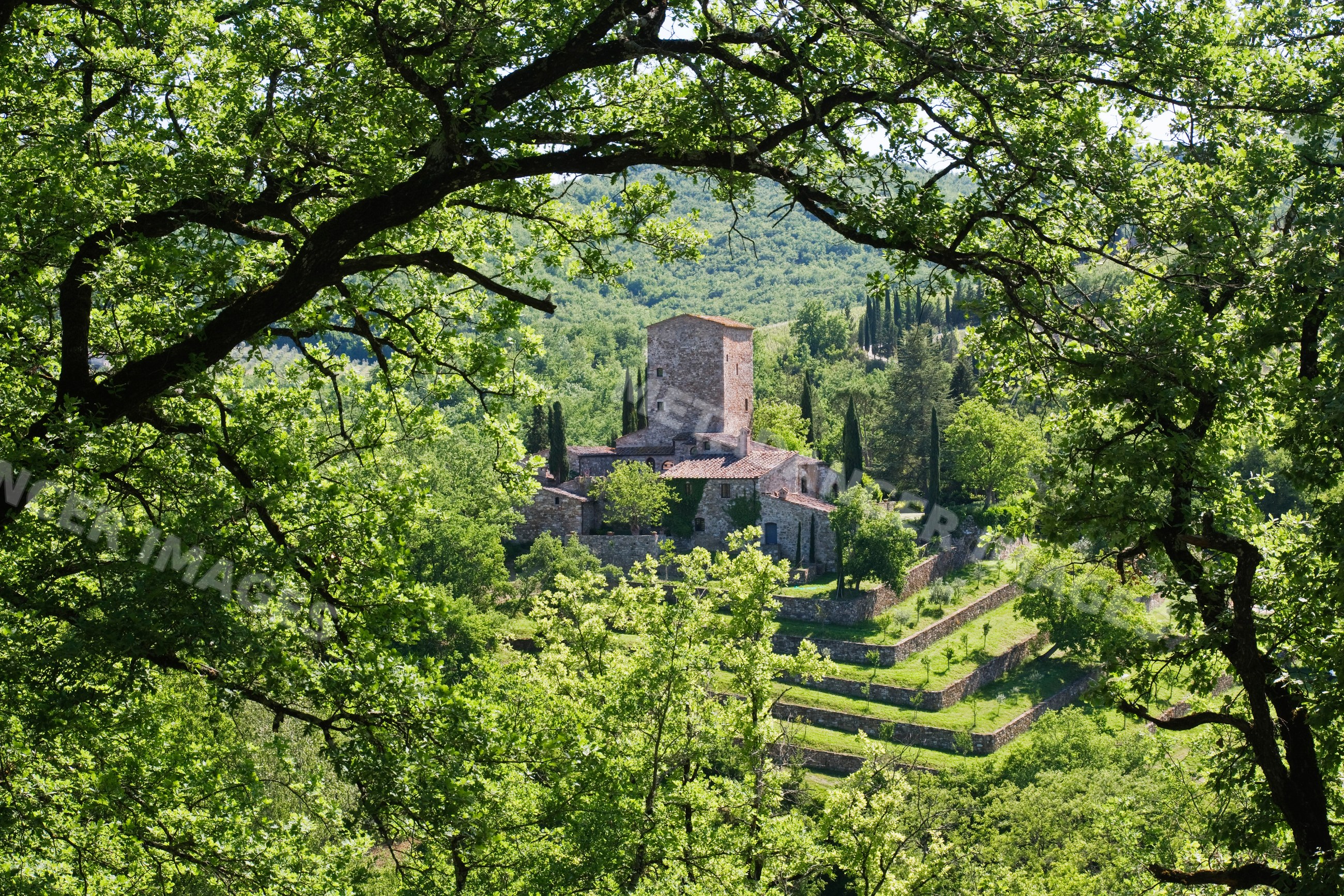 Stone farmhouse with terraced hillside and cypress trees italy