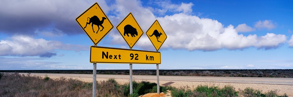Animal crossing warning signs on eyre highway australia