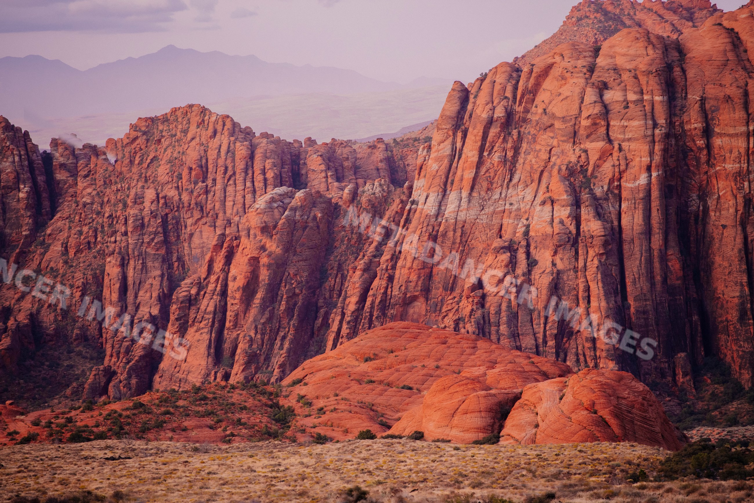 Red sandstone rock formations in red Cliffs Desert State Park, Utah