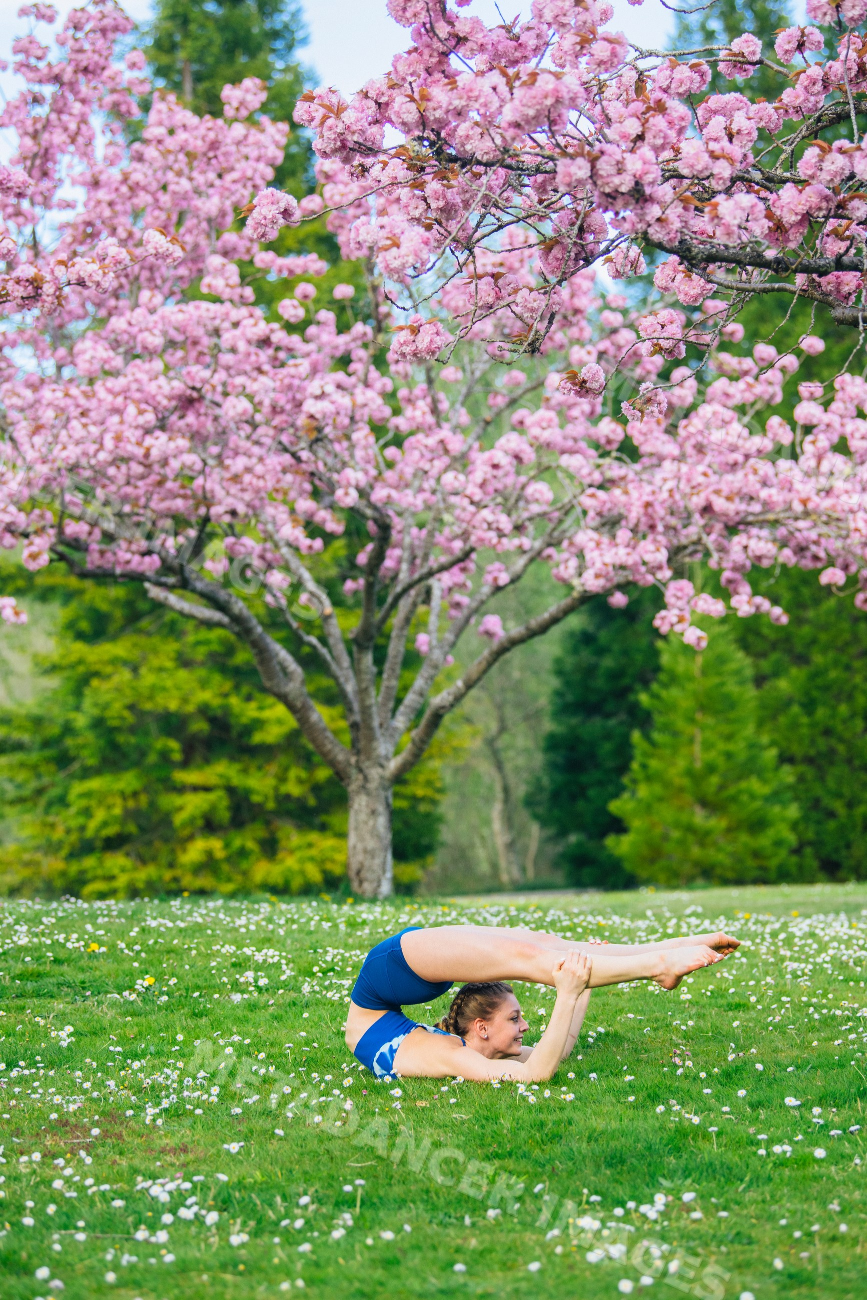 Yoga practitioner performing flexibility pose on grass with blossoming