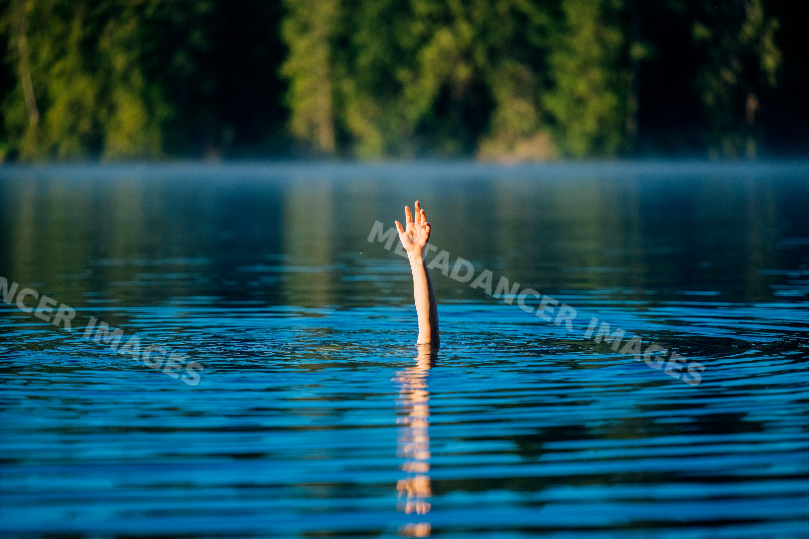Hand raised above calm lake water with forest and mist