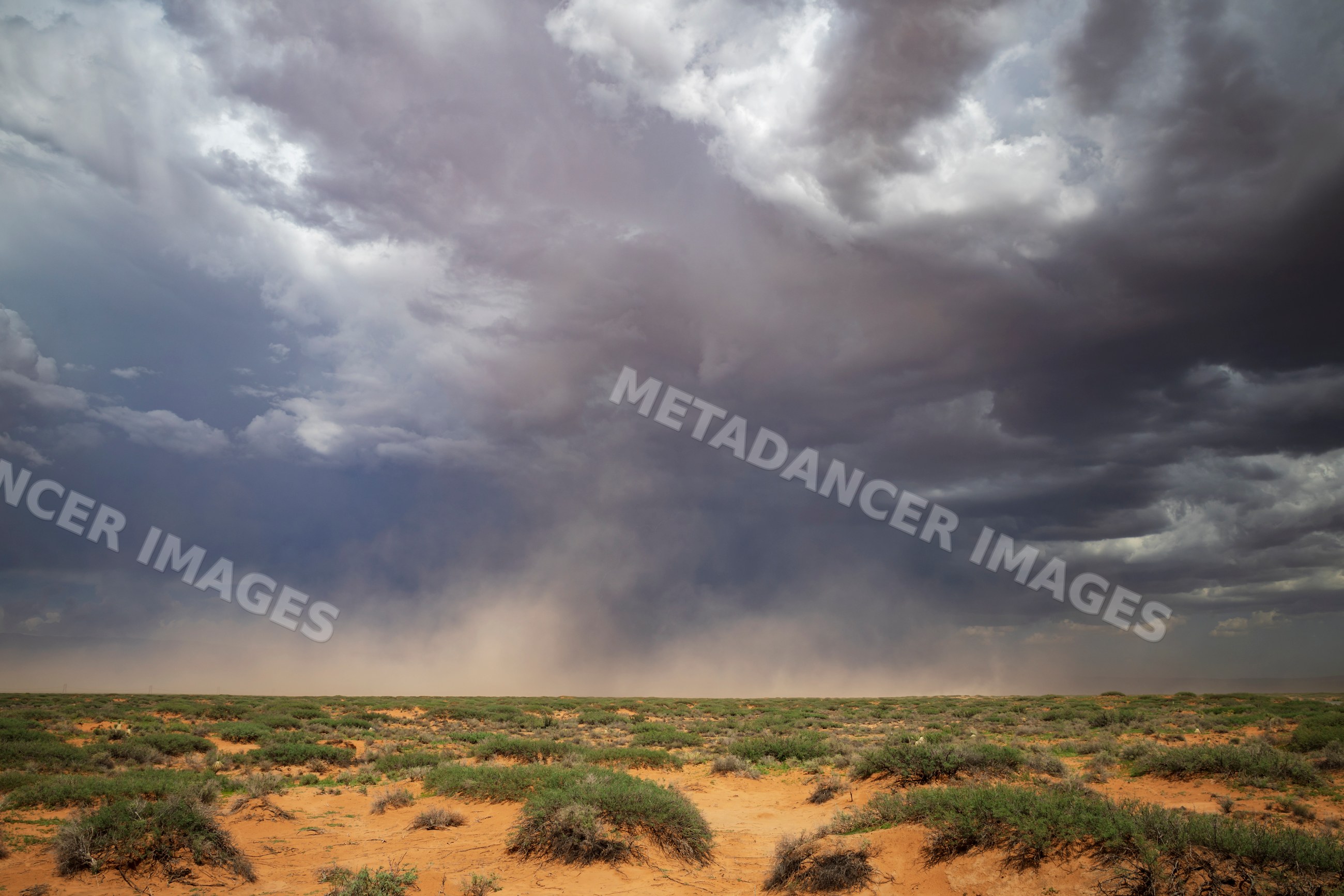 Storm approaching over desert brush landscape in alamogordo