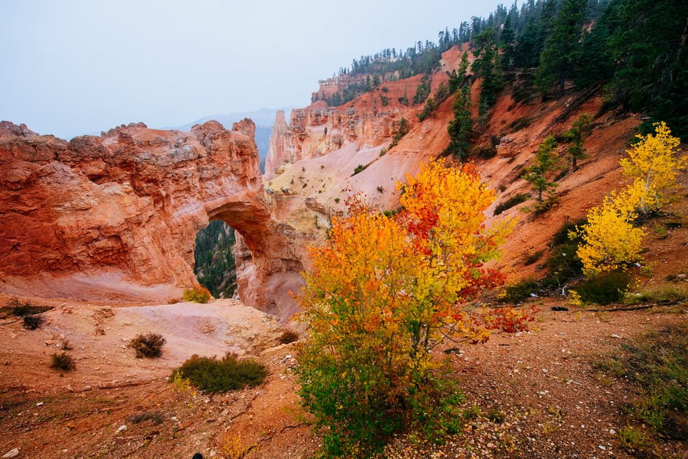 Natural red rock arch surrounded by vibrant fall foliage