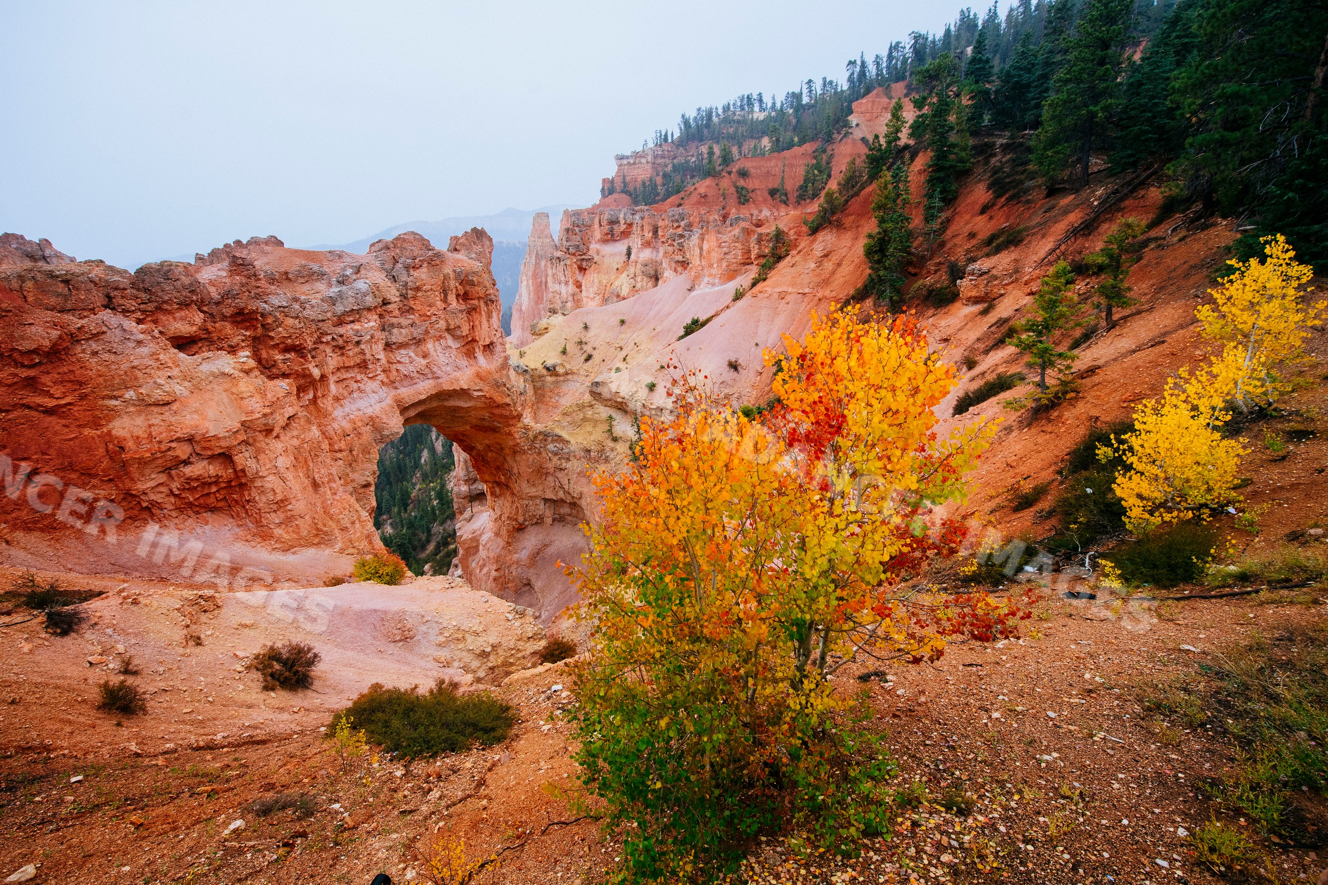 Natural red rock arch surrounded by vibrant fall foliage