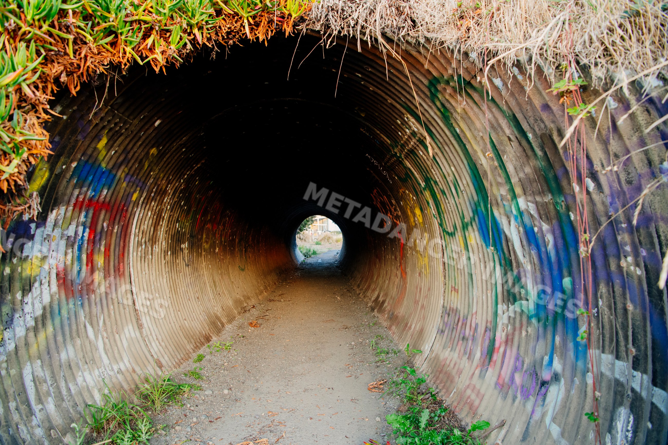 Graffiti-covered corrugated metal tunnel on dirt path in northern