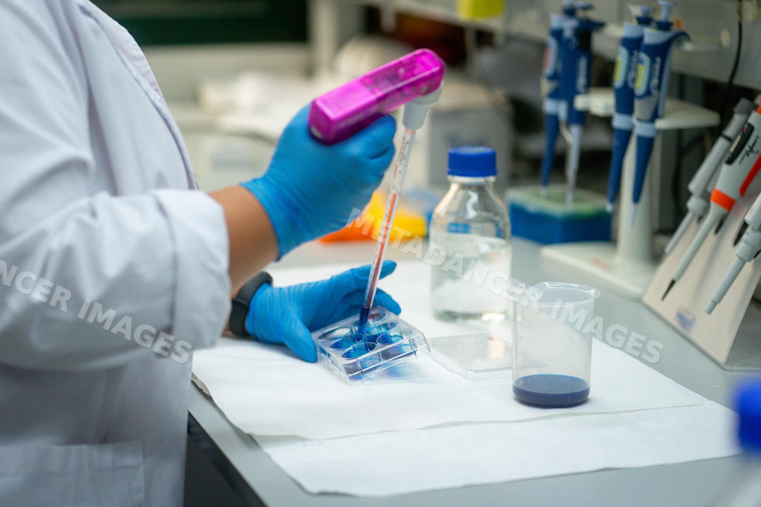 Scientist transferring blue liquid with pipette