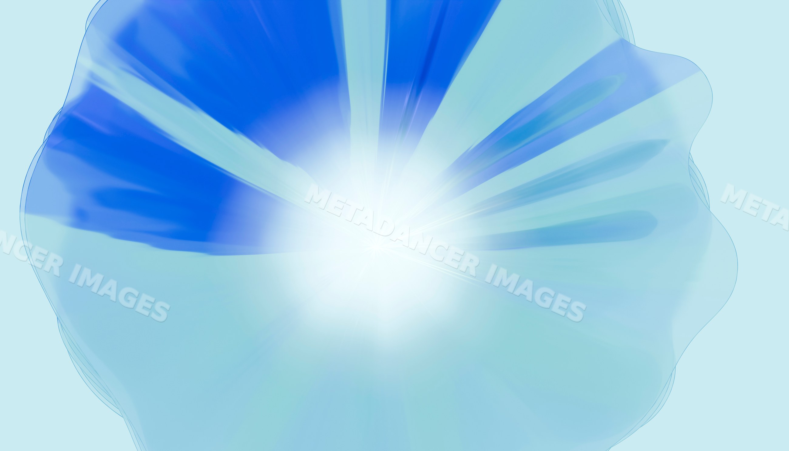 Close-up of a blue flower with radiant white center and glowing petals