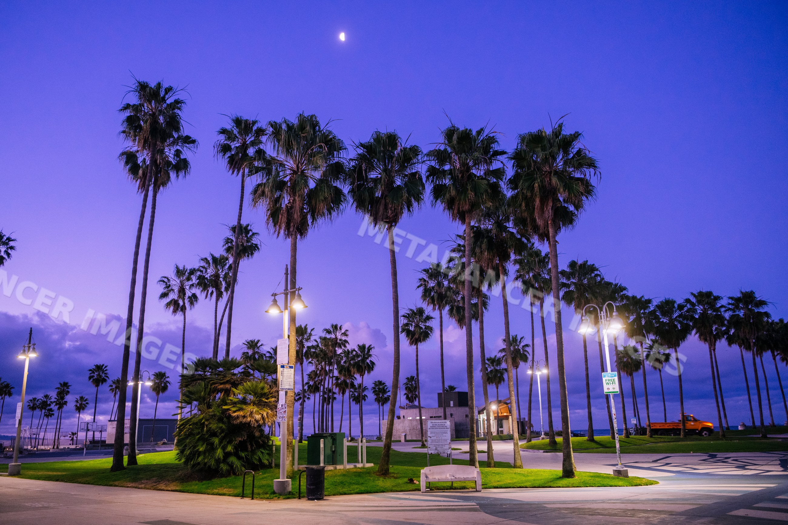 Palm trees at twilight in Venice Beach park with crescent moon