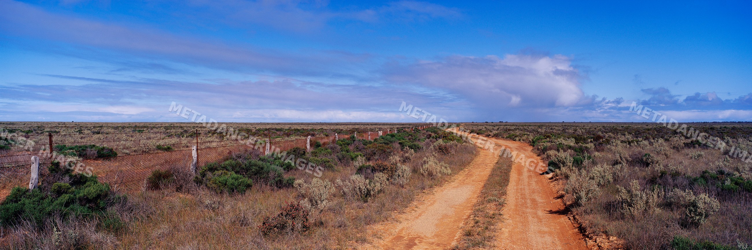 Dirt road beside dog fence