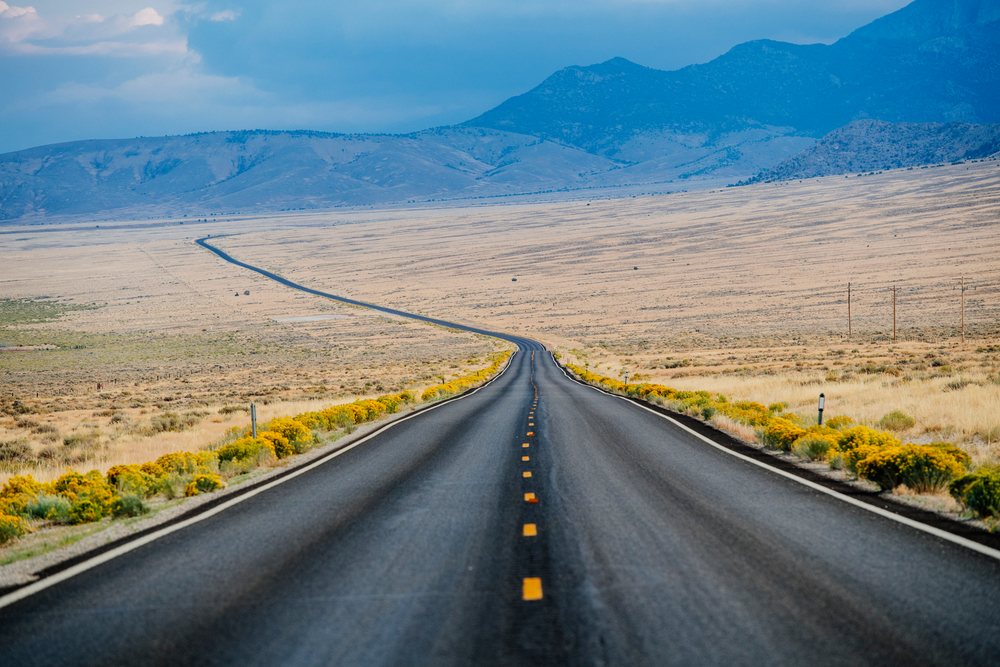 Desert road with wildflowers leading to mountains