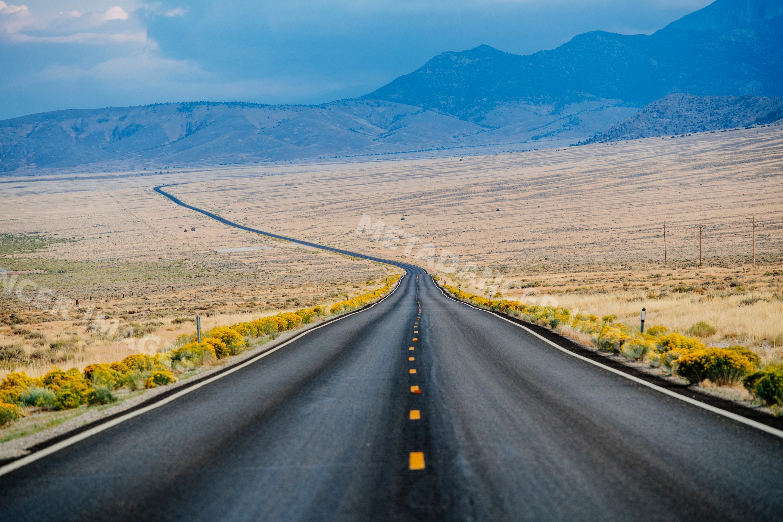 Desert road with wildflowers leading to mountains