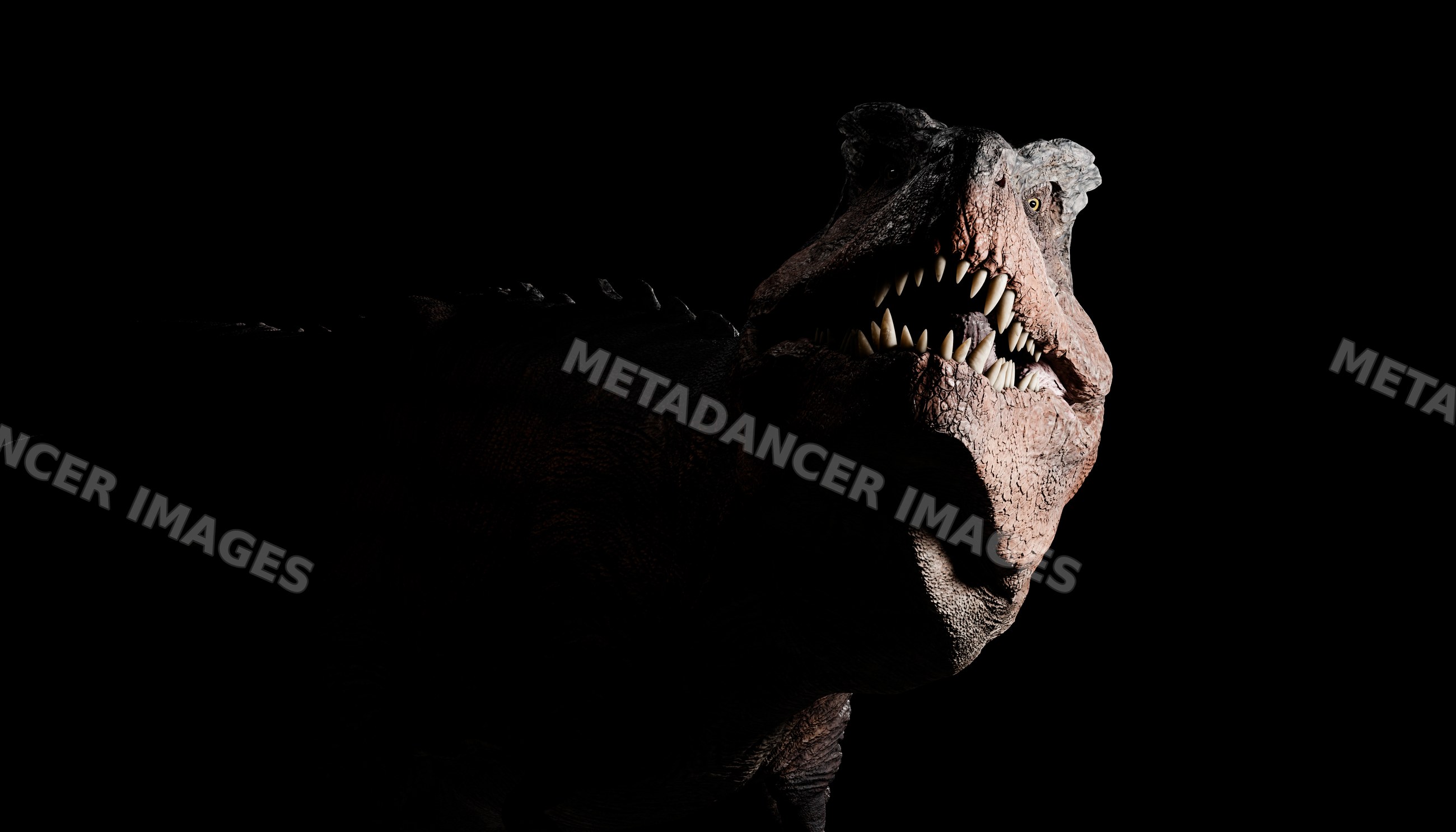 A close-up image of a T-Rex dinosaur with jaws open