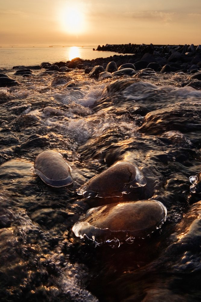 Sunset over rocky shoreline with waves, japan