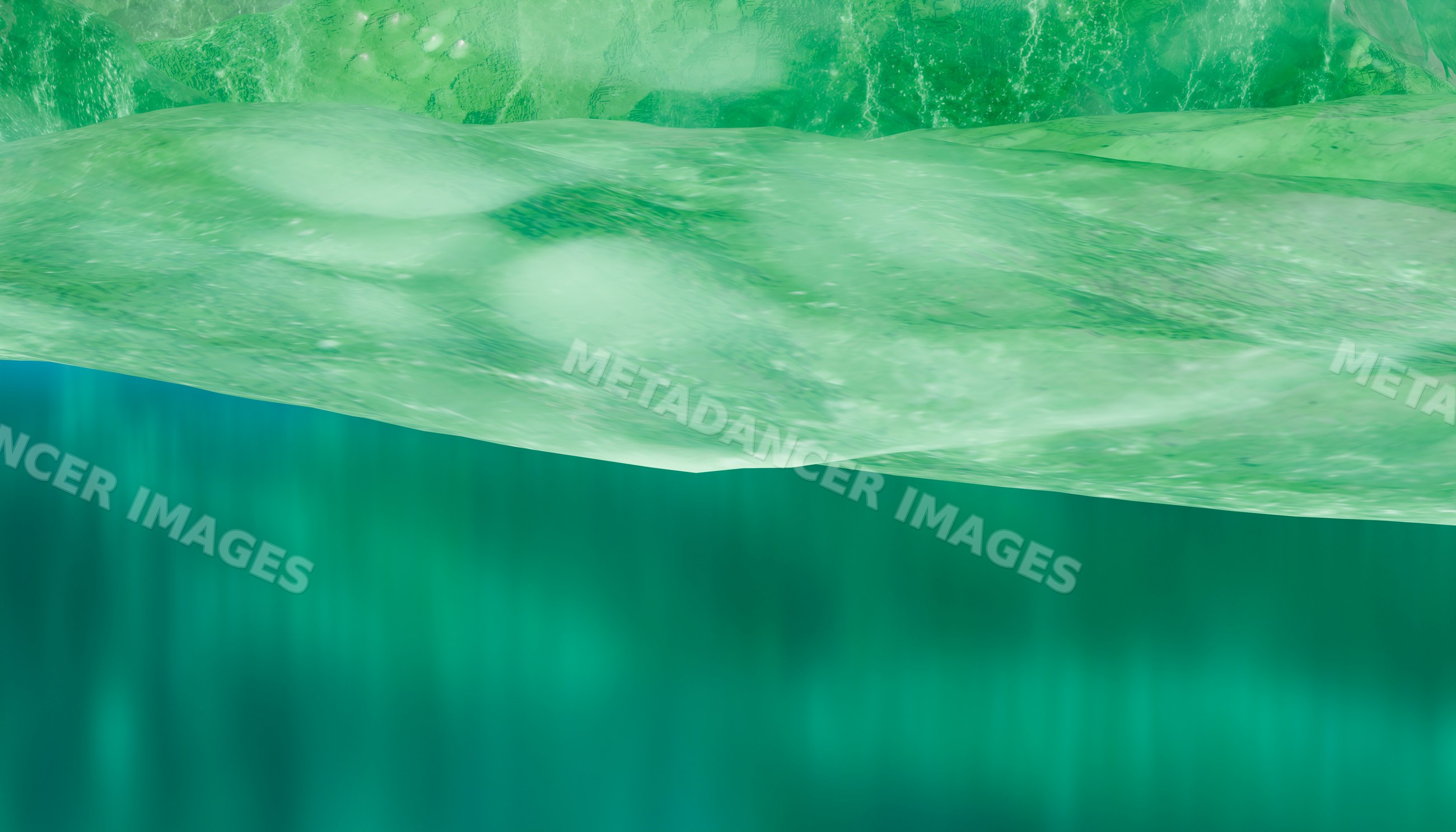 Close-up view of a vibrant green leaf