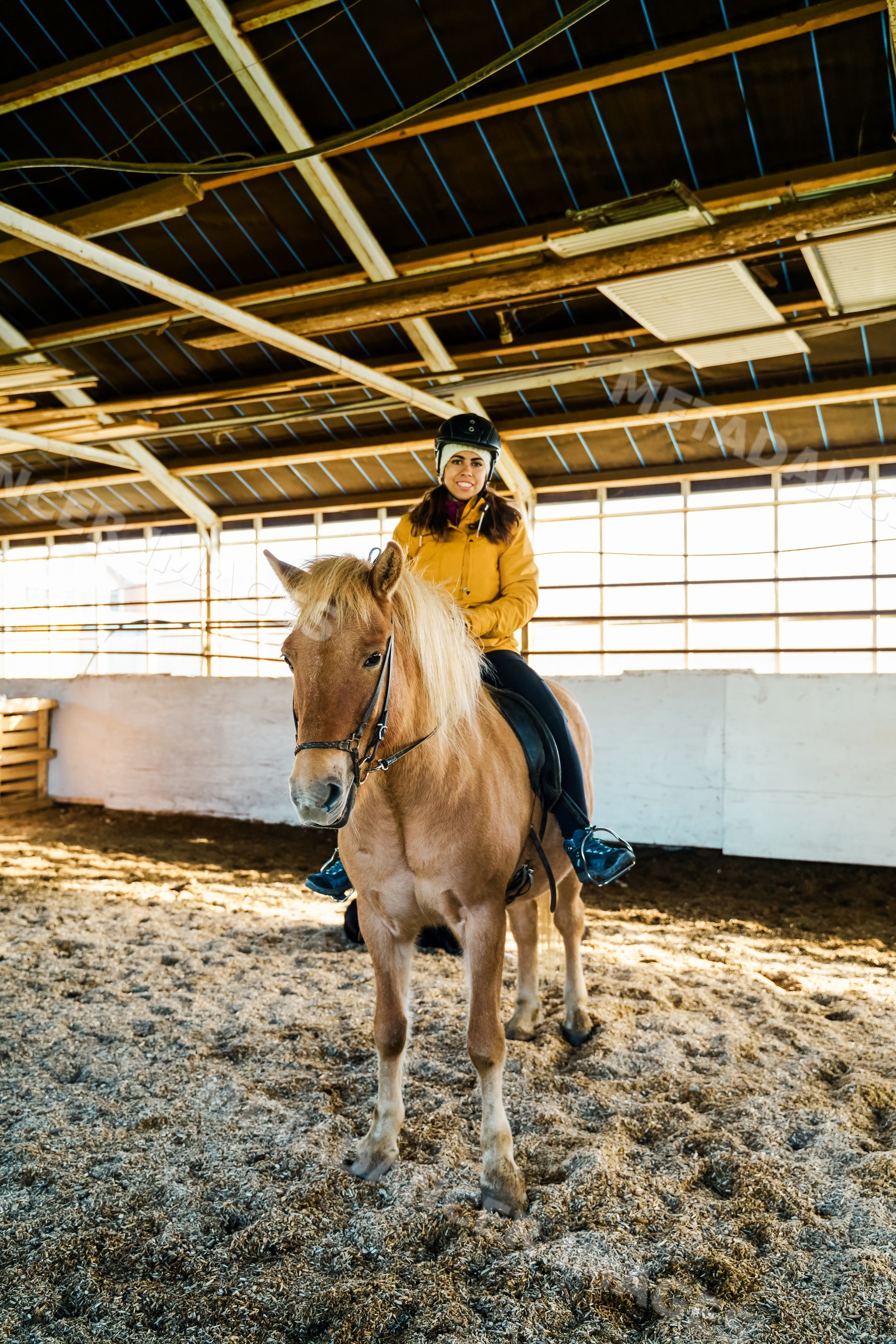 A white woman rides a horse in an indoor riding arena