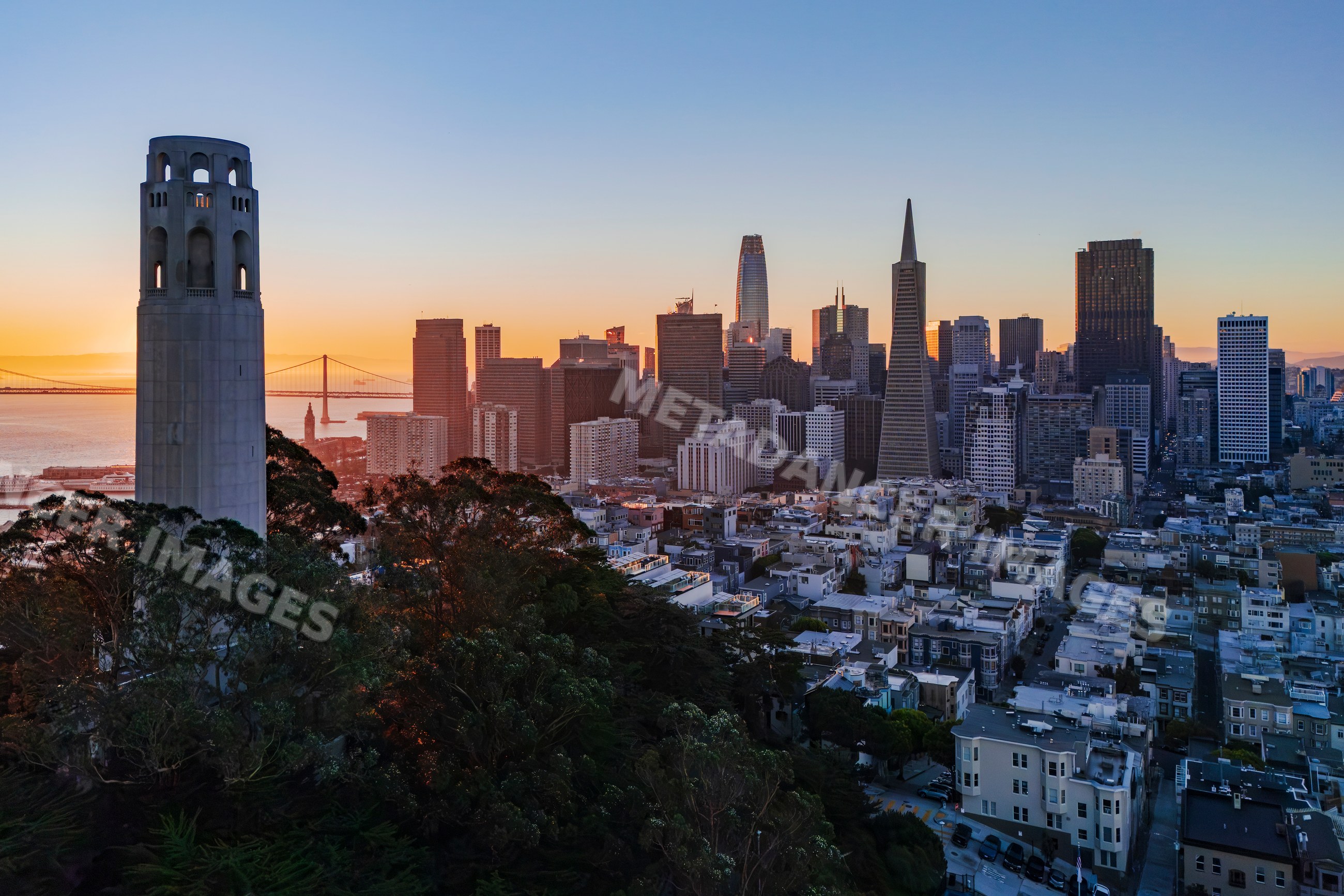 Downtown San Francisco Skyline from Coit Tower