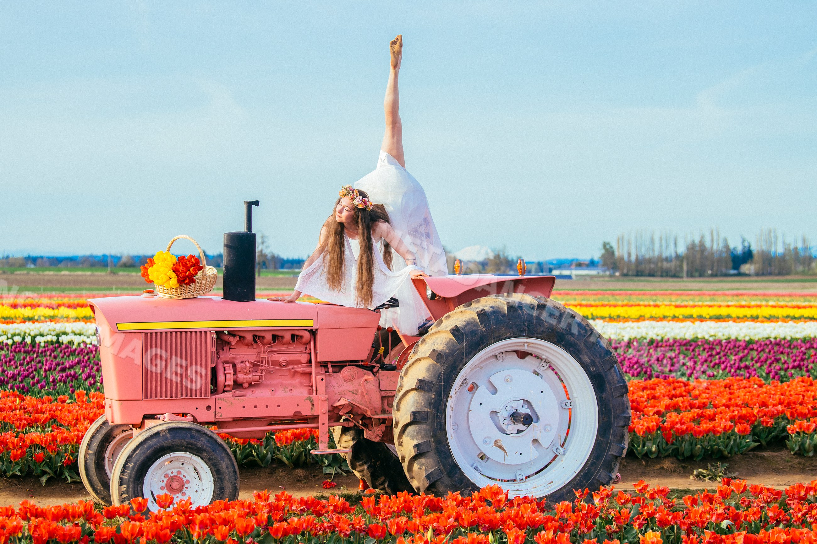 White woman doing yoga pose on pink tractor in tulip field