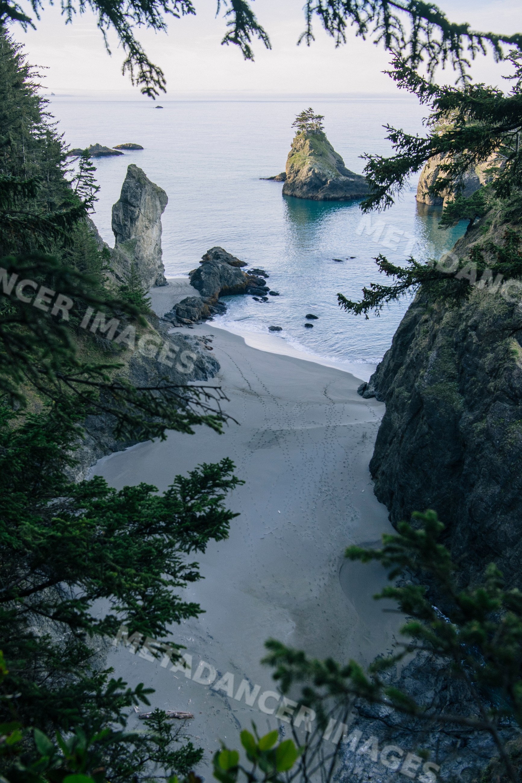Coastline with sea stacks and beach, Oregon