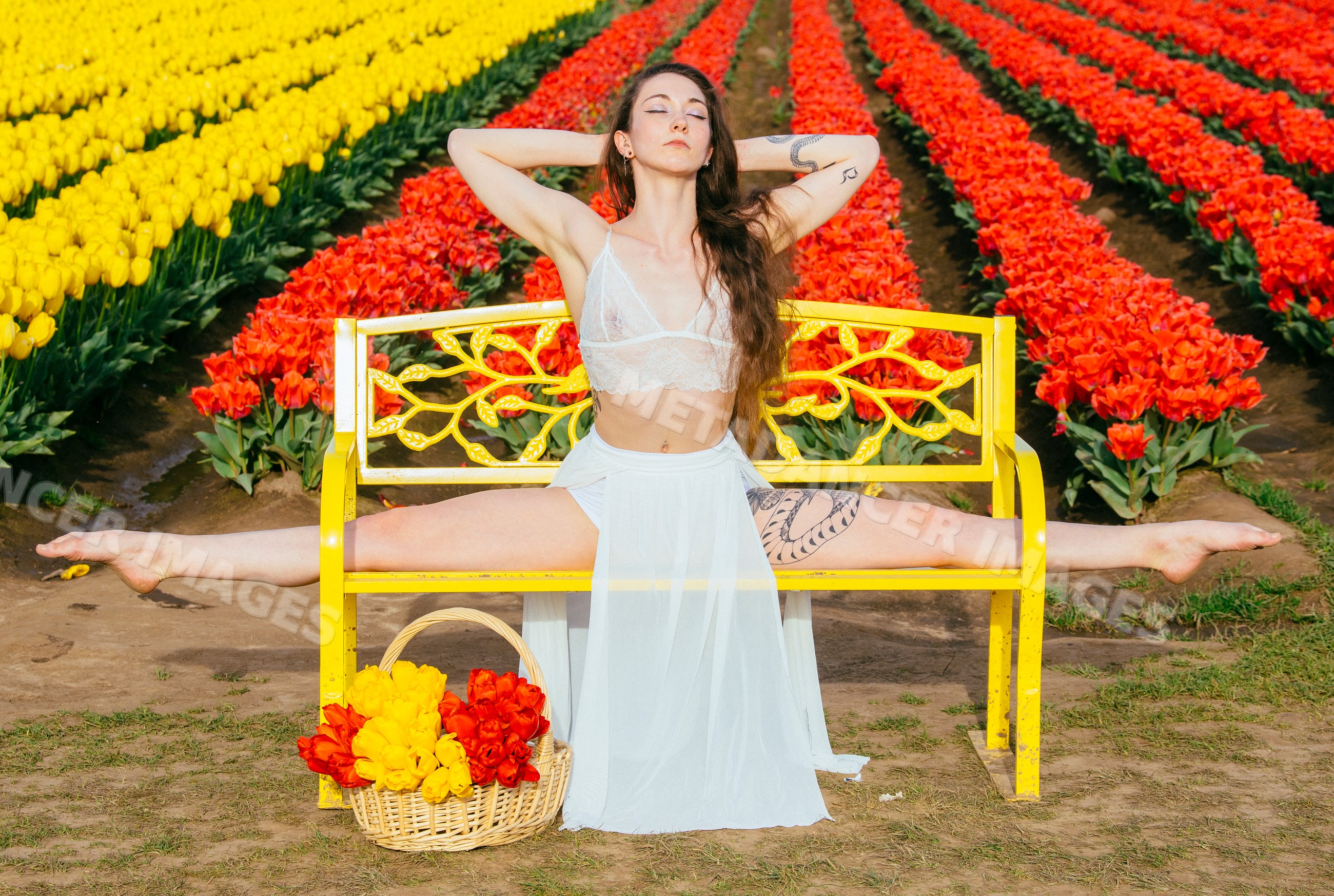 White woman doing splits on yellow bench in tulip field with basket