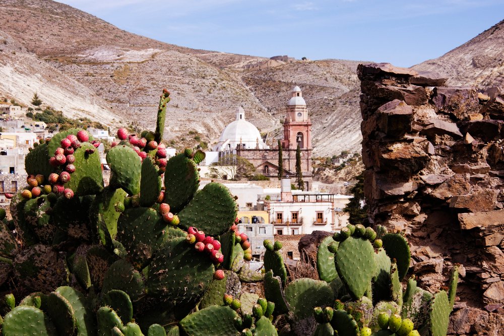 Purisima concepcion temple viewed through cactus mexico