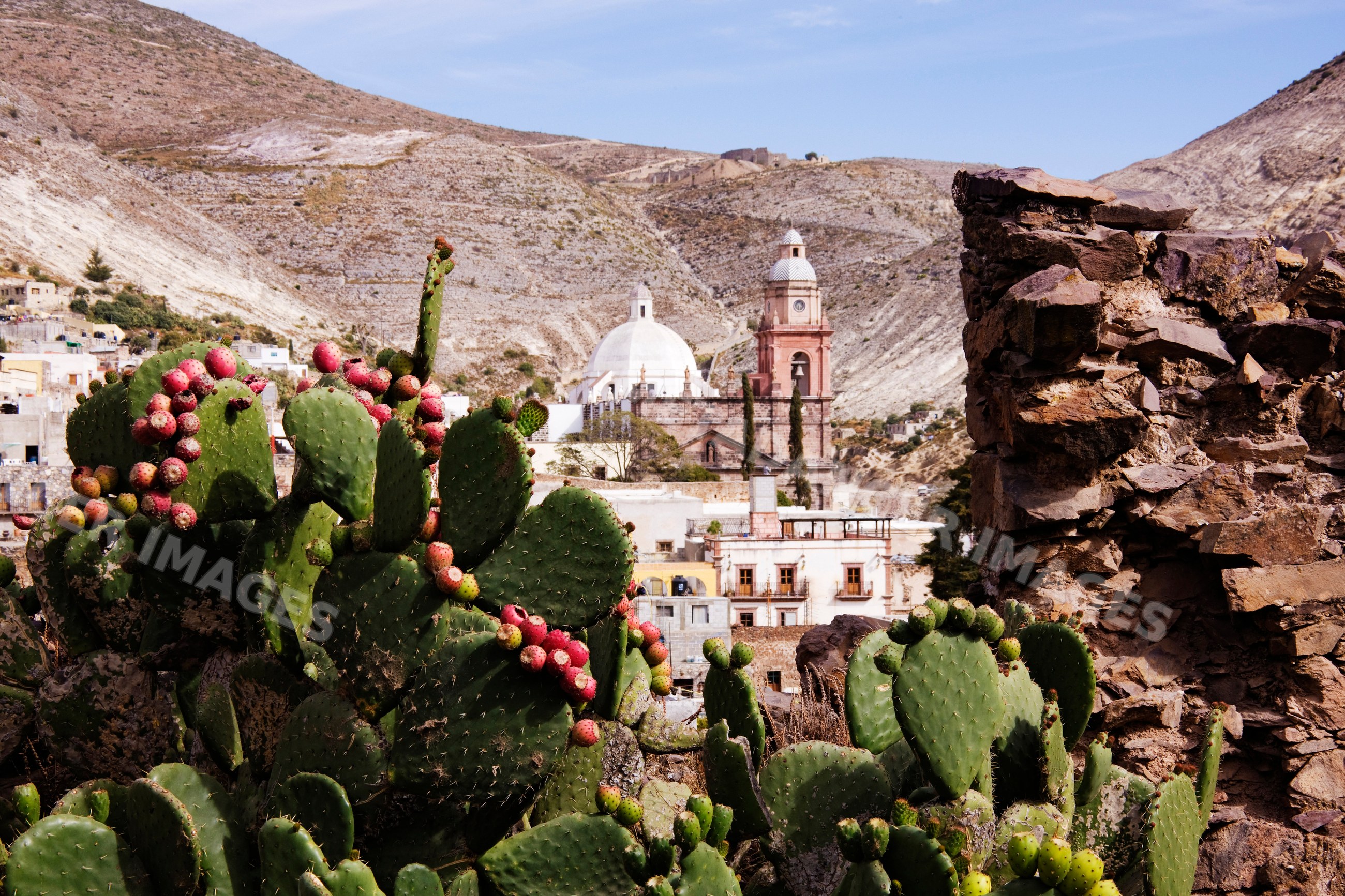 Purisima concepcion temple viewed through cactus mexico
