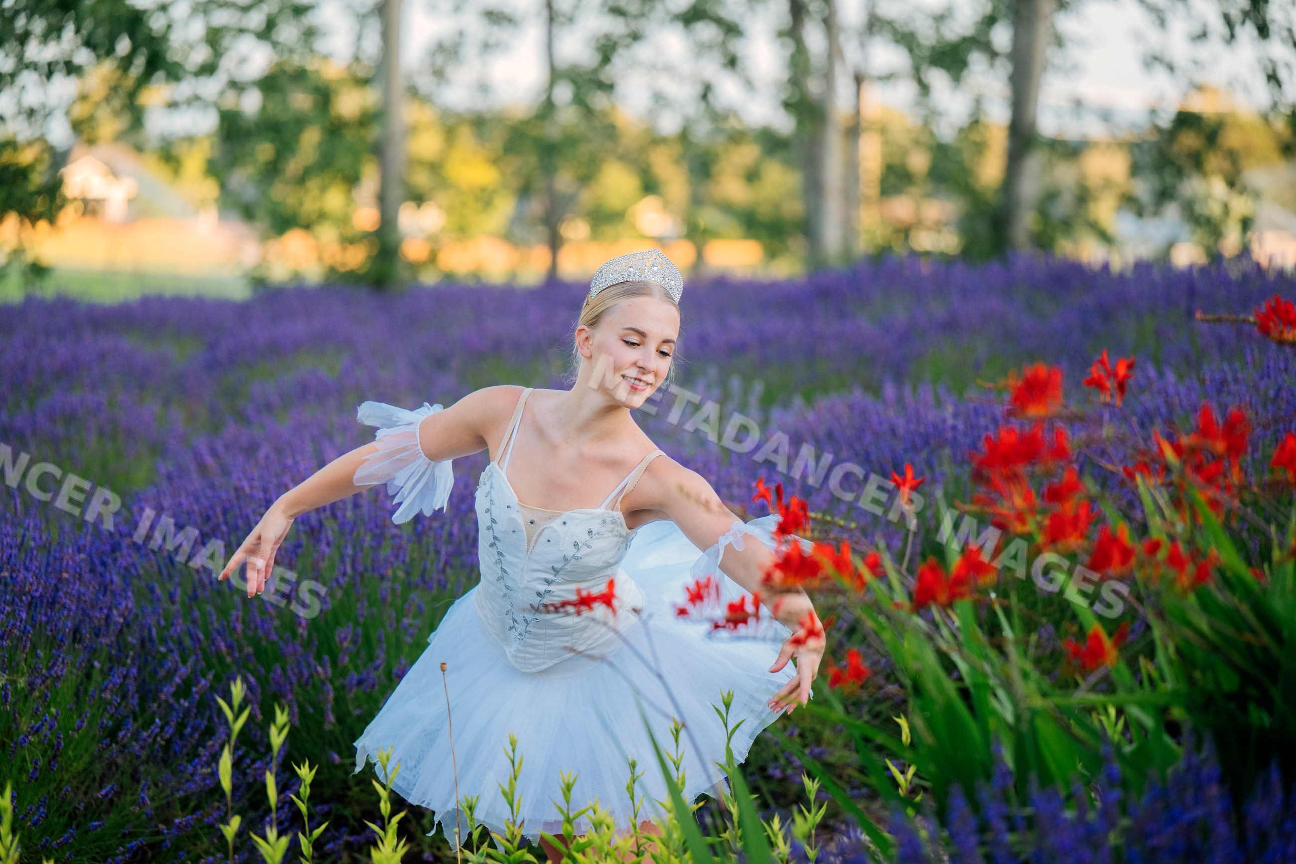 A ballerina dances gracefully in a lavender field in WA, USA