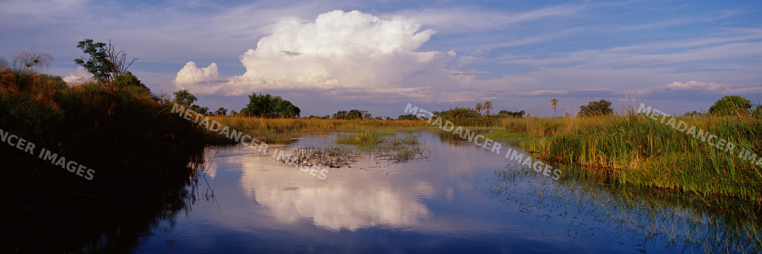 Lagoon reflecting clouds and grasses in a natural wetland landscape